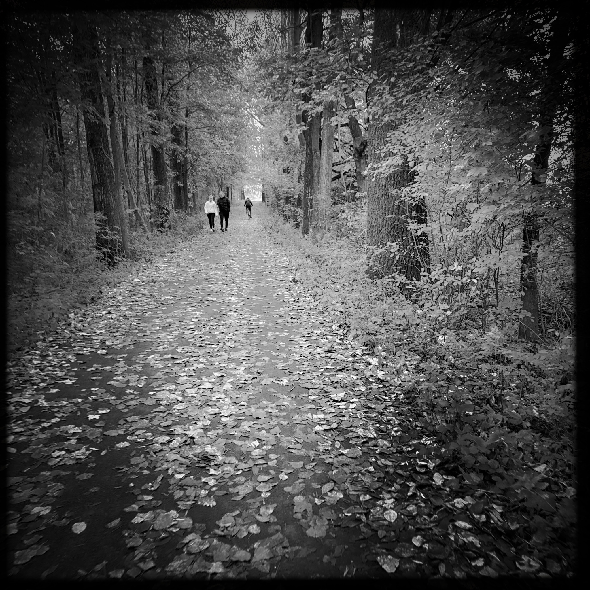 HMOriginal 6C72FB26 B196 44D6 AC06 B6E11052AC43