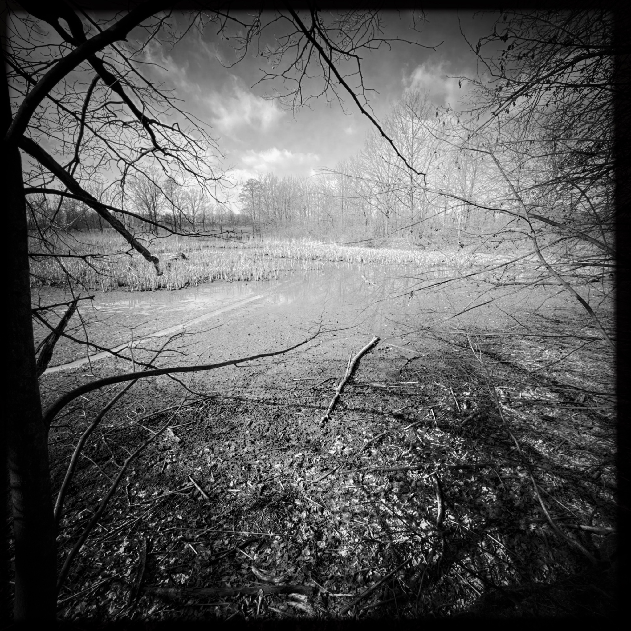 HMOriginal 6D709203 FA5D 4FC7 8F06 29766EED4197