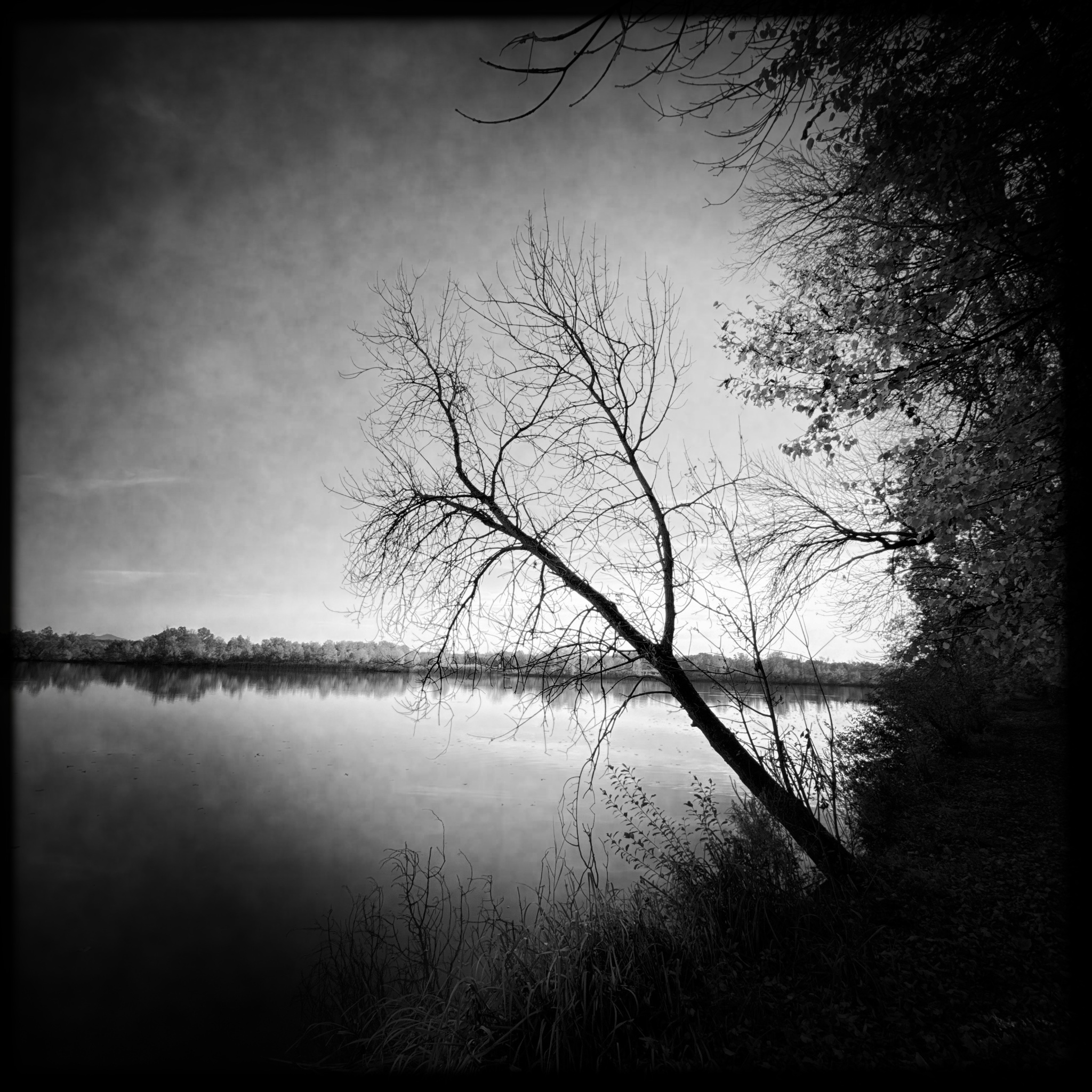 HMOriginal 6DF86056 36CF 4C95 BA15 1D56B732D42B