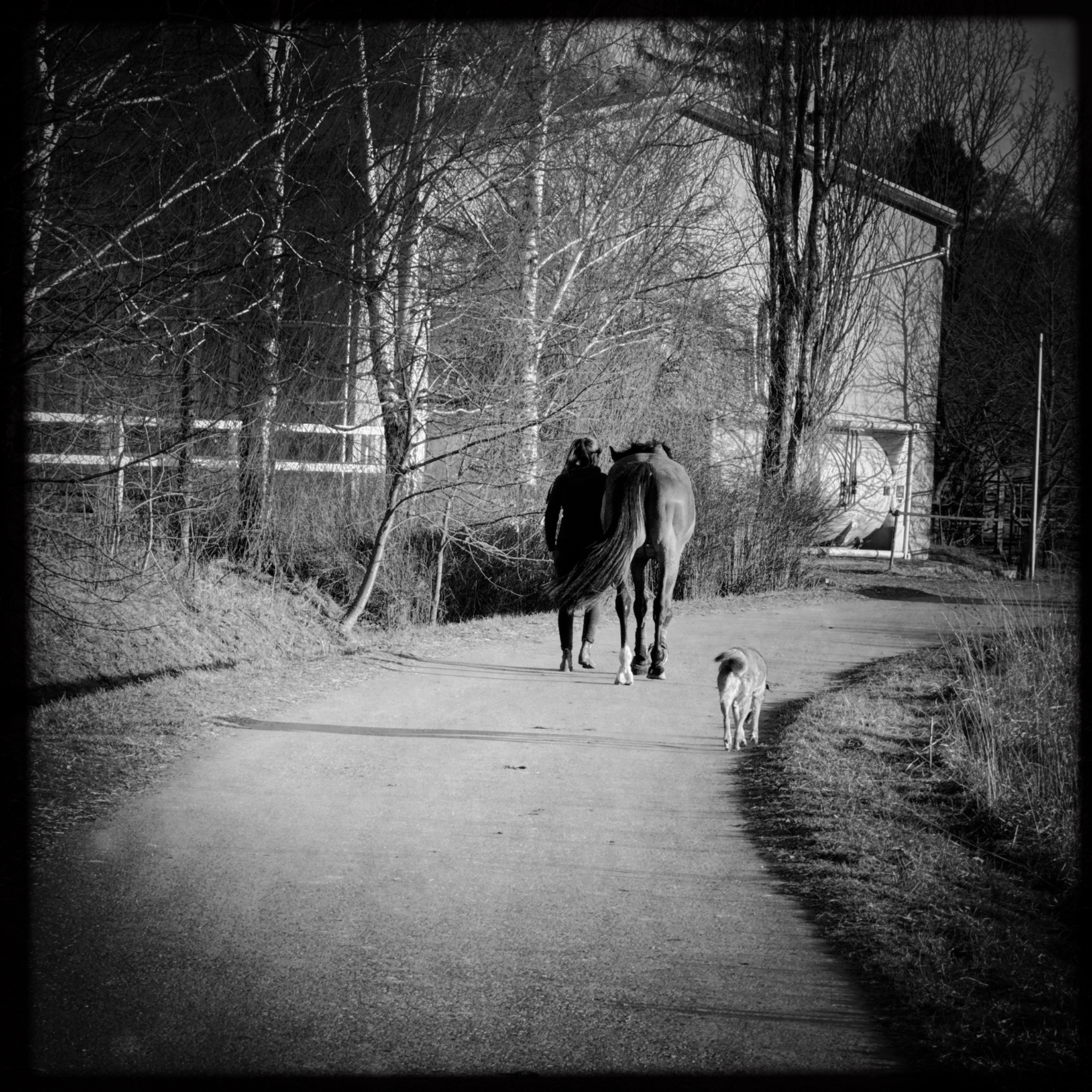 HMOriginal 700D2800 FBA0 412C B9E2 9079B410FAA2