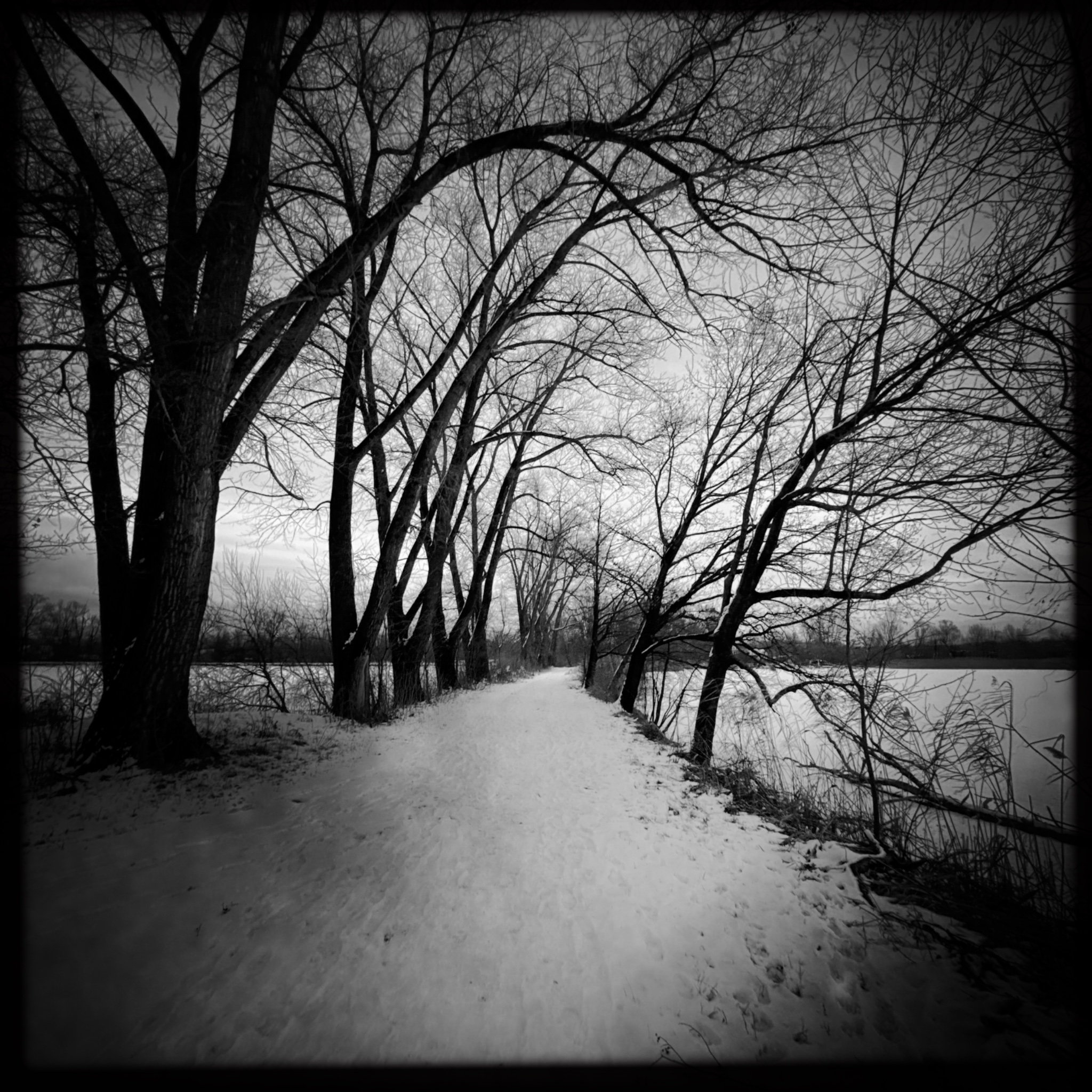 HMOriginal 718BB5D8 25F6 4858 8B90 E1FD1D56ED80