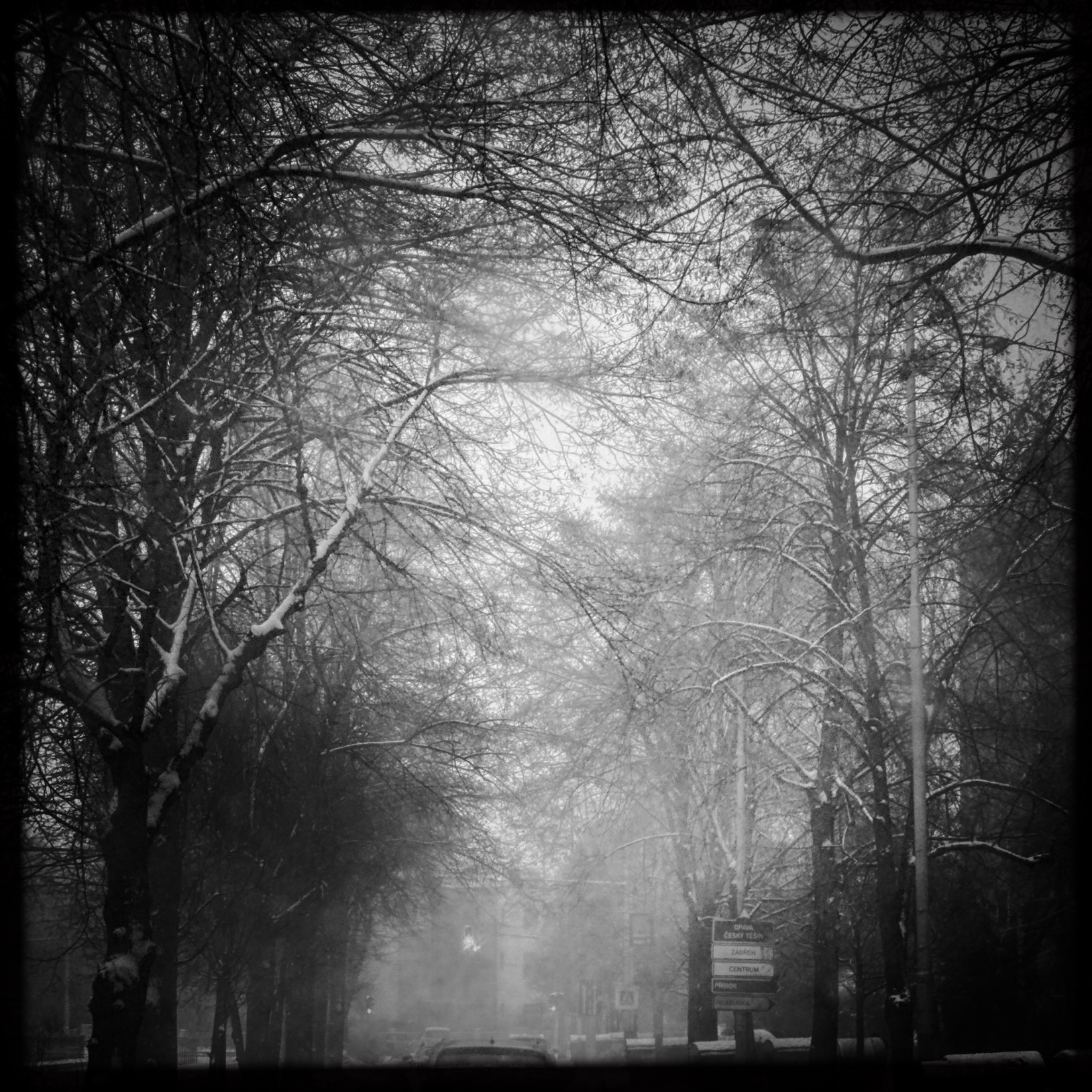 HMOriginal 72571C04 25C5 4CC5 B682 35F7E2893FE0