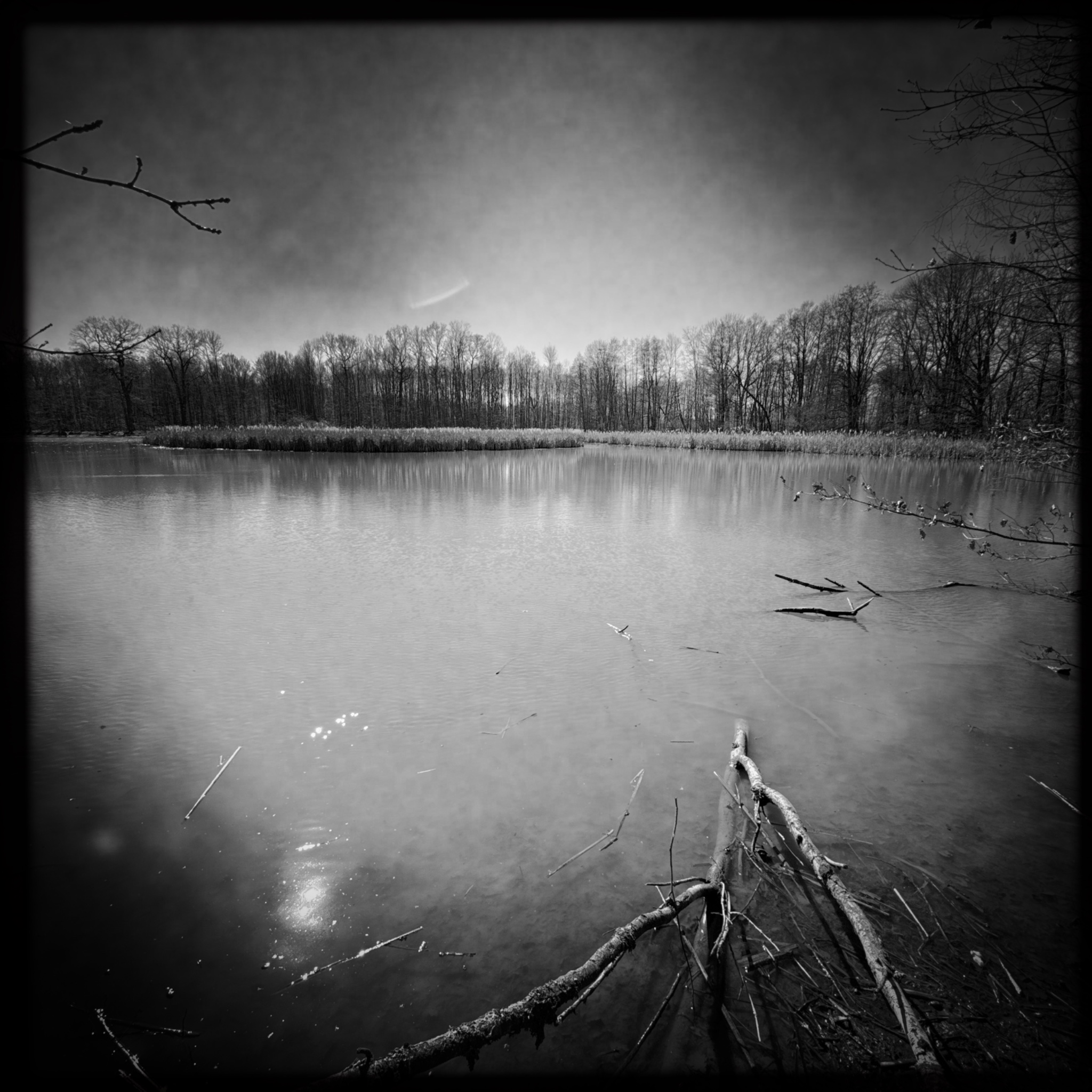 HMOriginal 77119100 4369 4789 B536 D2EB0754953F