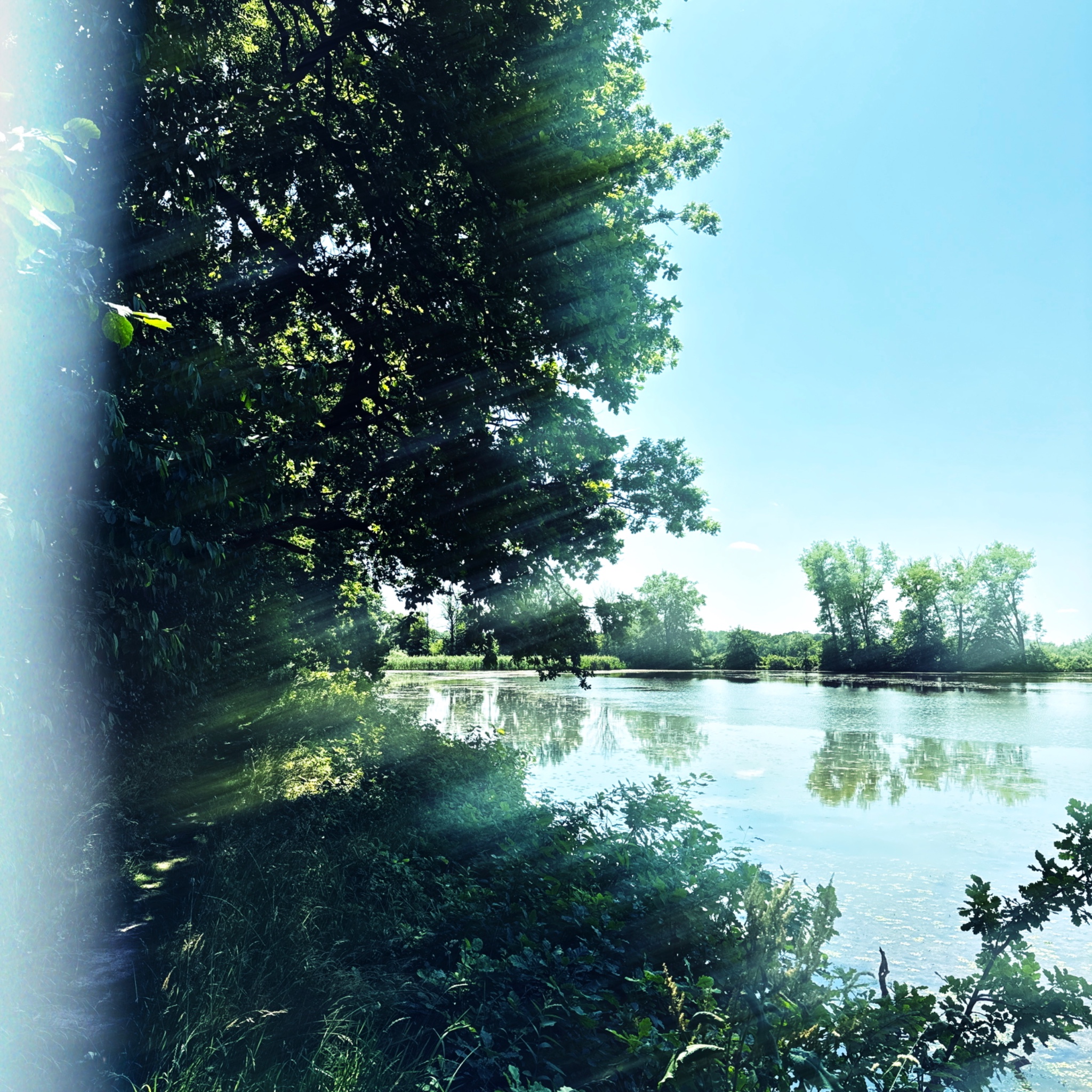 HMOriginal 78E3DD9D E157 4AD8 9616 467B22CA4601