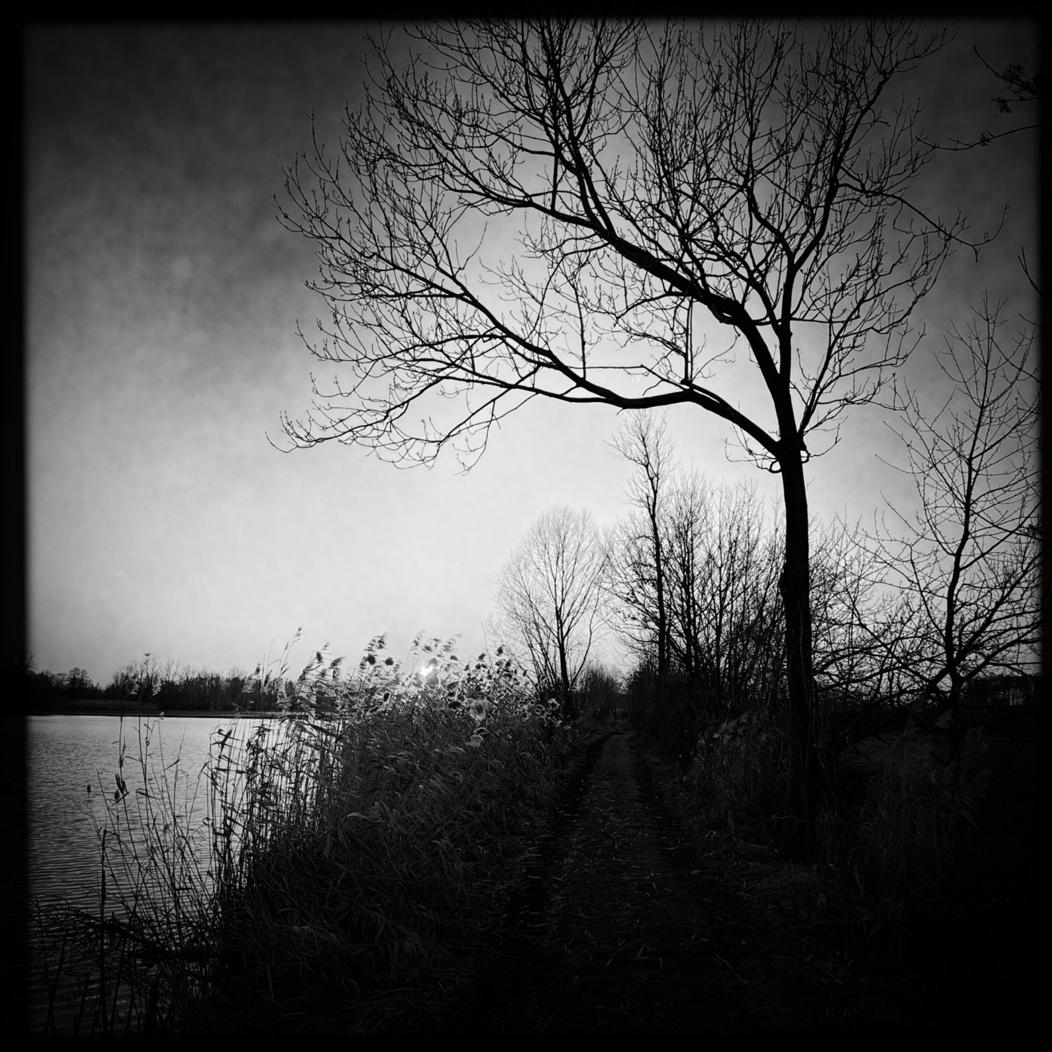 HMOriginal 7A472FFD D07D 4AE3 B2FB 38D8DBDD2F4D