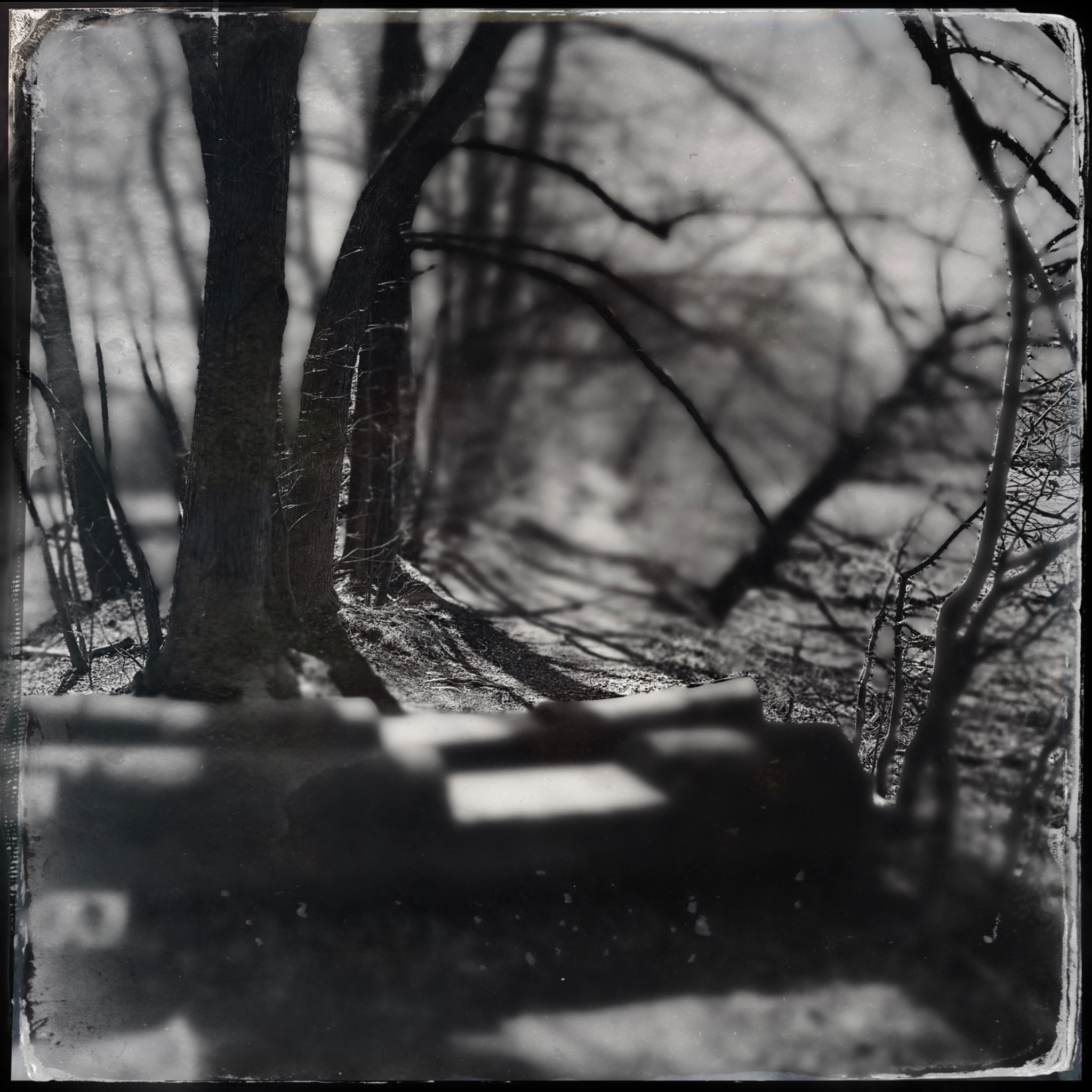 HMOriginal 7AD328C6 4608 455E B94D 505F62523421