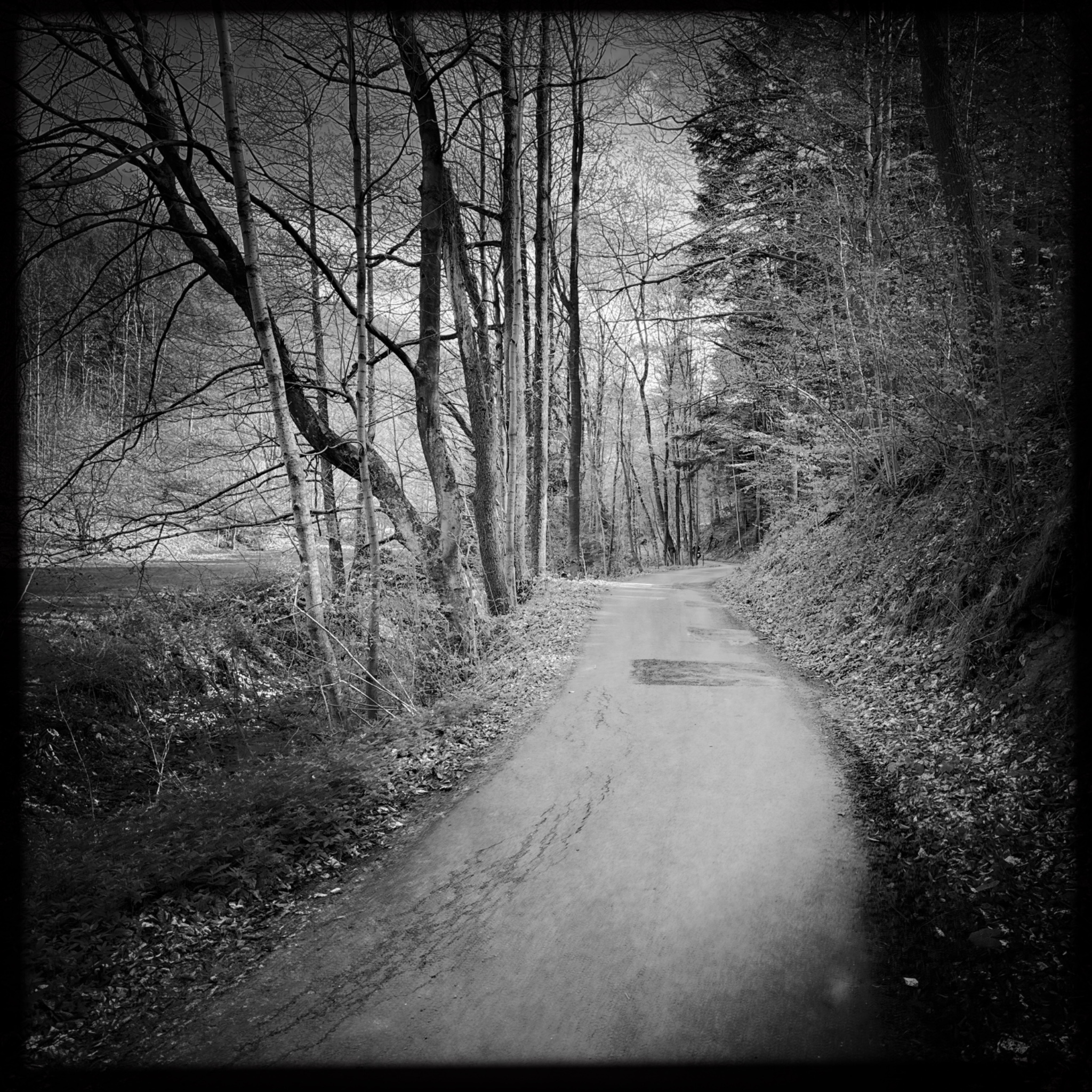 HMOriginal 7AE4A6CC EC53 4E34 8917 BC2DD849F1F9