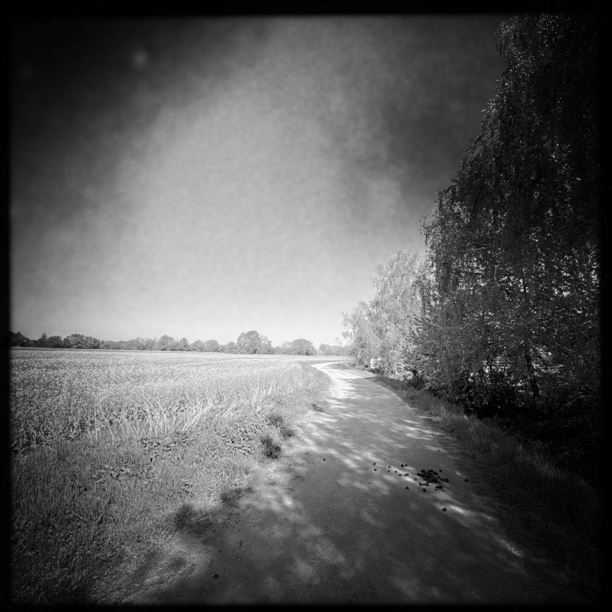 HMOriginal 7B87311E 35FE 4F61 BC9A B6FDFA42B5E3