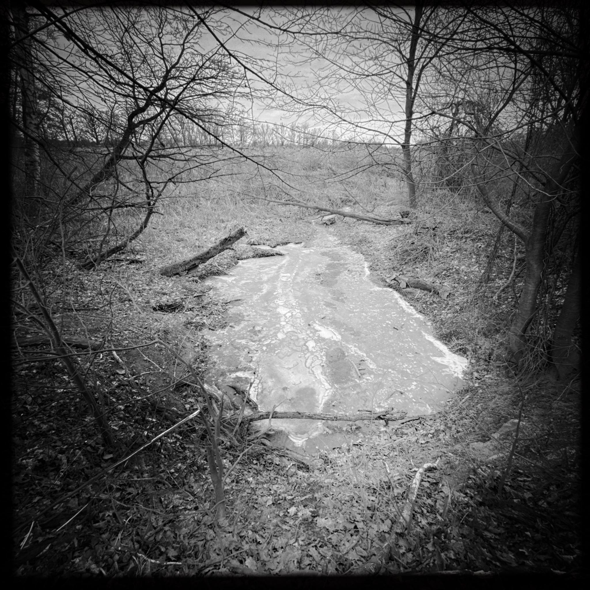 HMOriginal 7CCF6E1A 92CA 4B3D AA9A EC89D6D69DA7