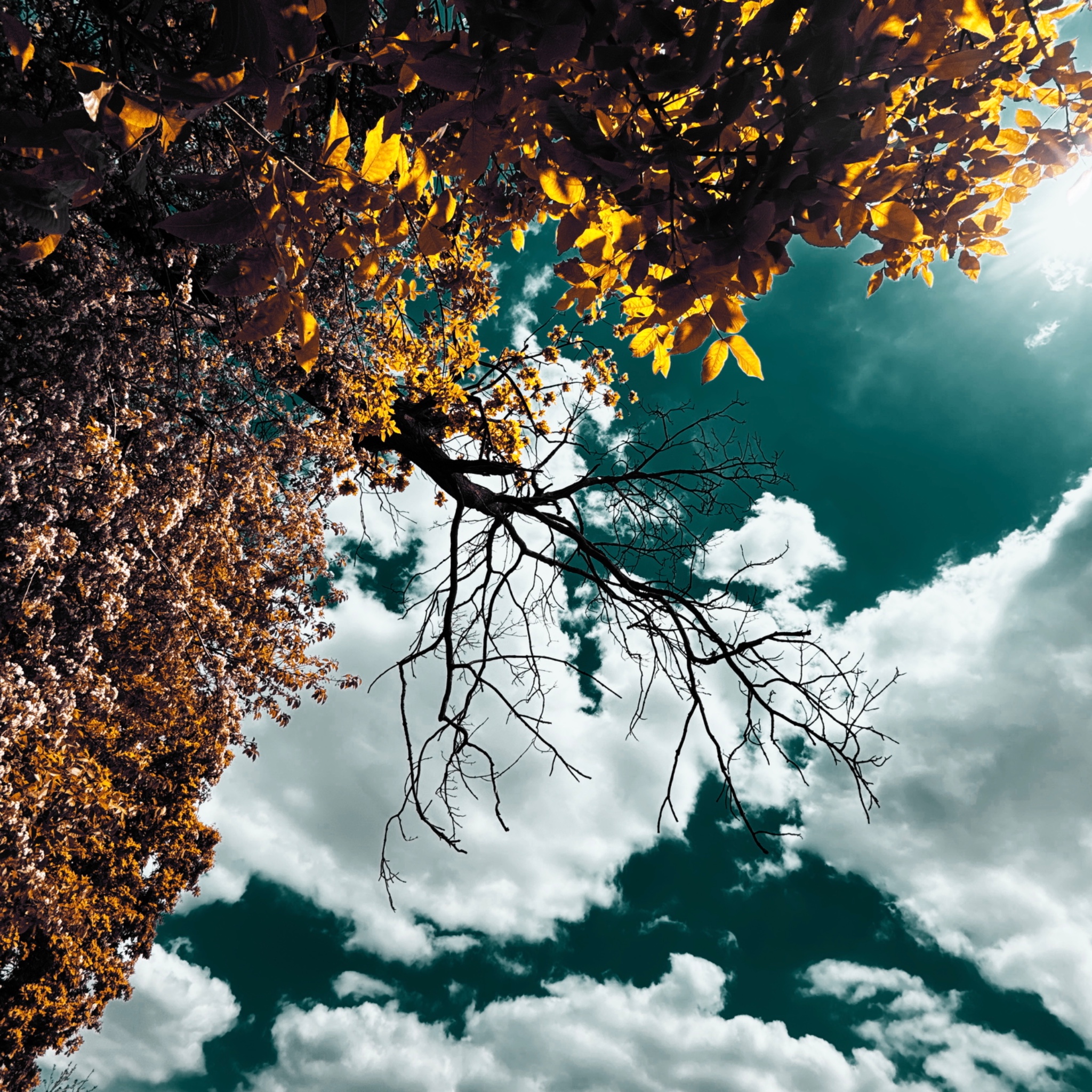 HMOriginal 7DA53643 E7D8 4754 B187 59703D84D041