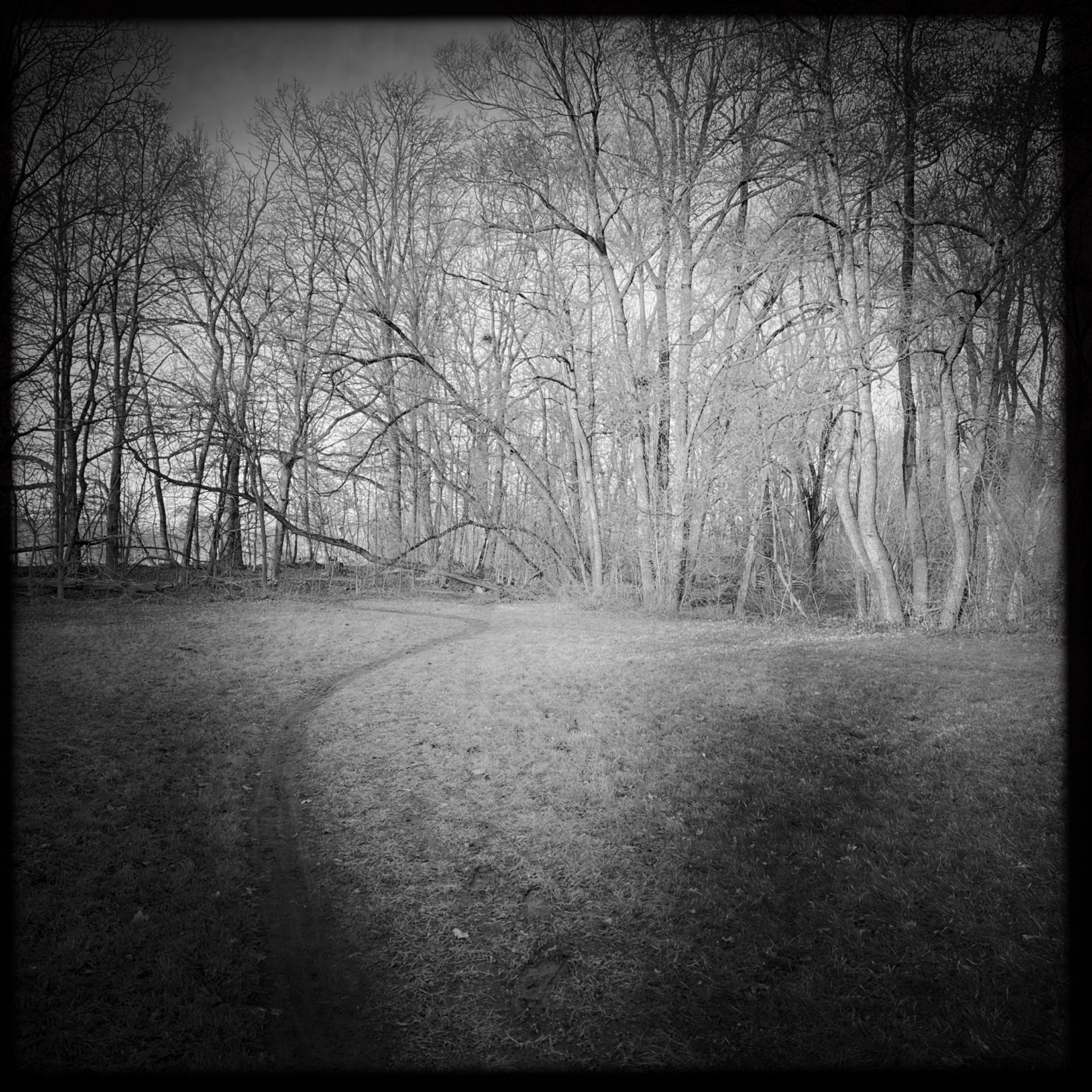 HMOriginal 7E04919F EE0E 44F9 97A5 F2907D688FAD