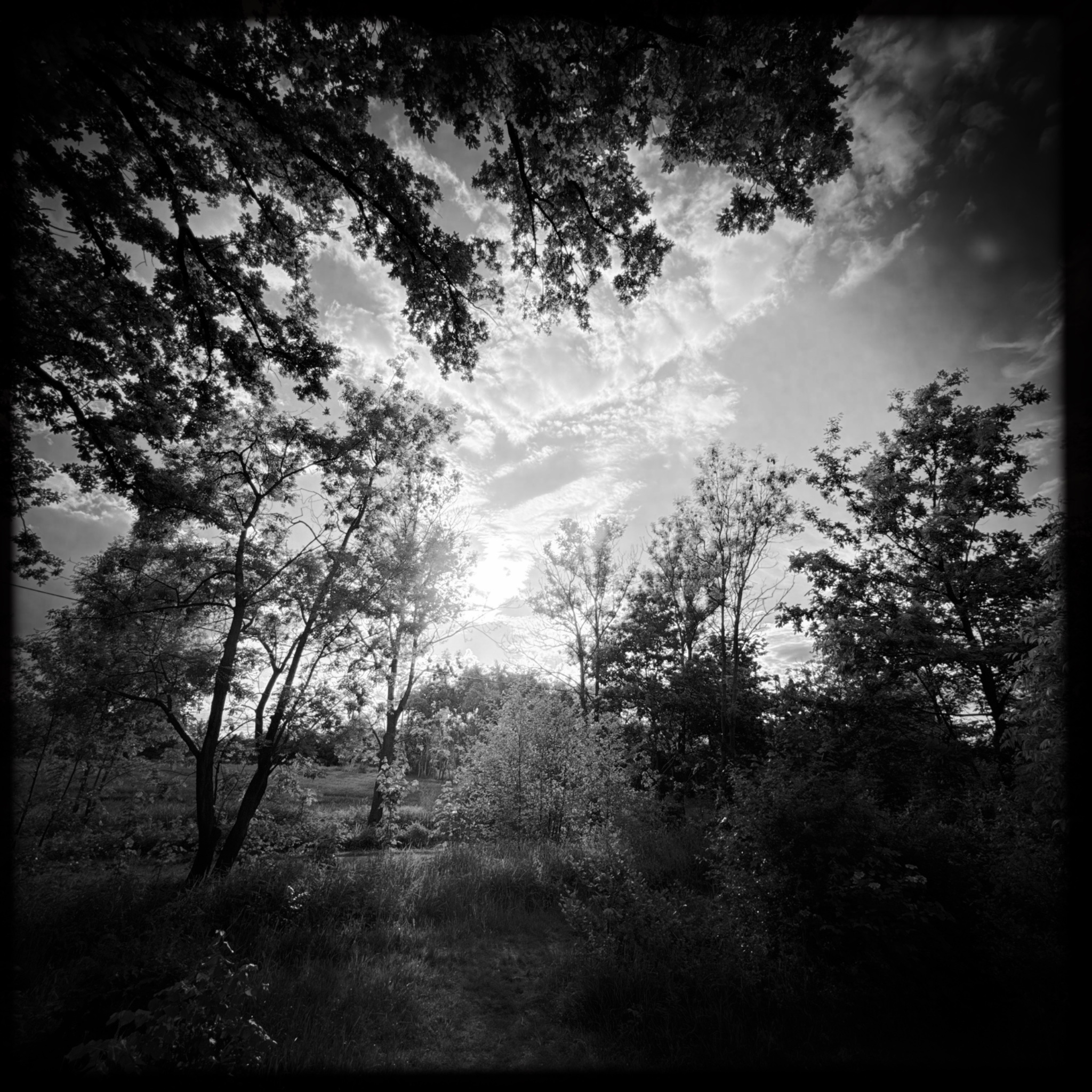 HMOriginal 7FCC2DA2 44E1 46D9 A49D 7DE0DB62E666