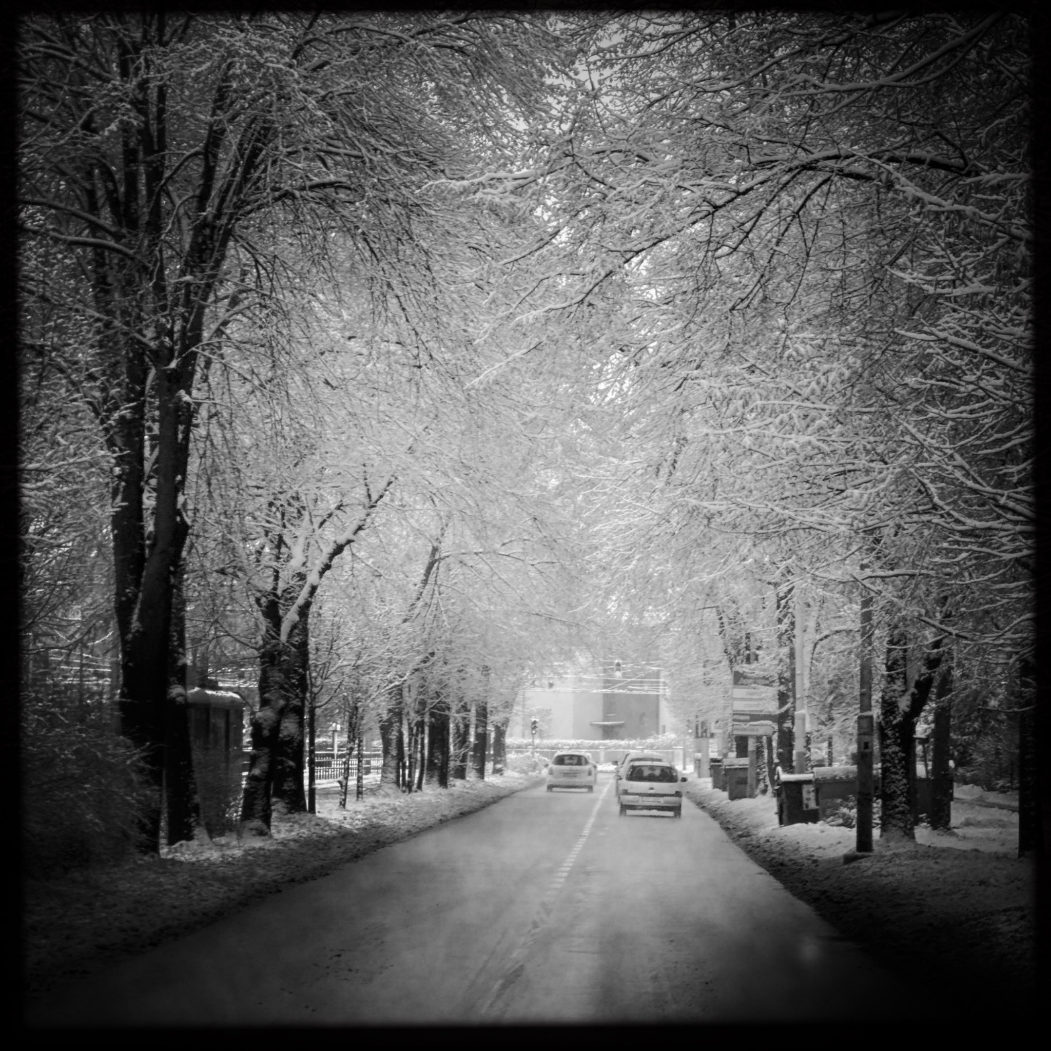 HMOriginal 80FACEA0 A0B3 48E6 8AFD 8466AA64D3BB