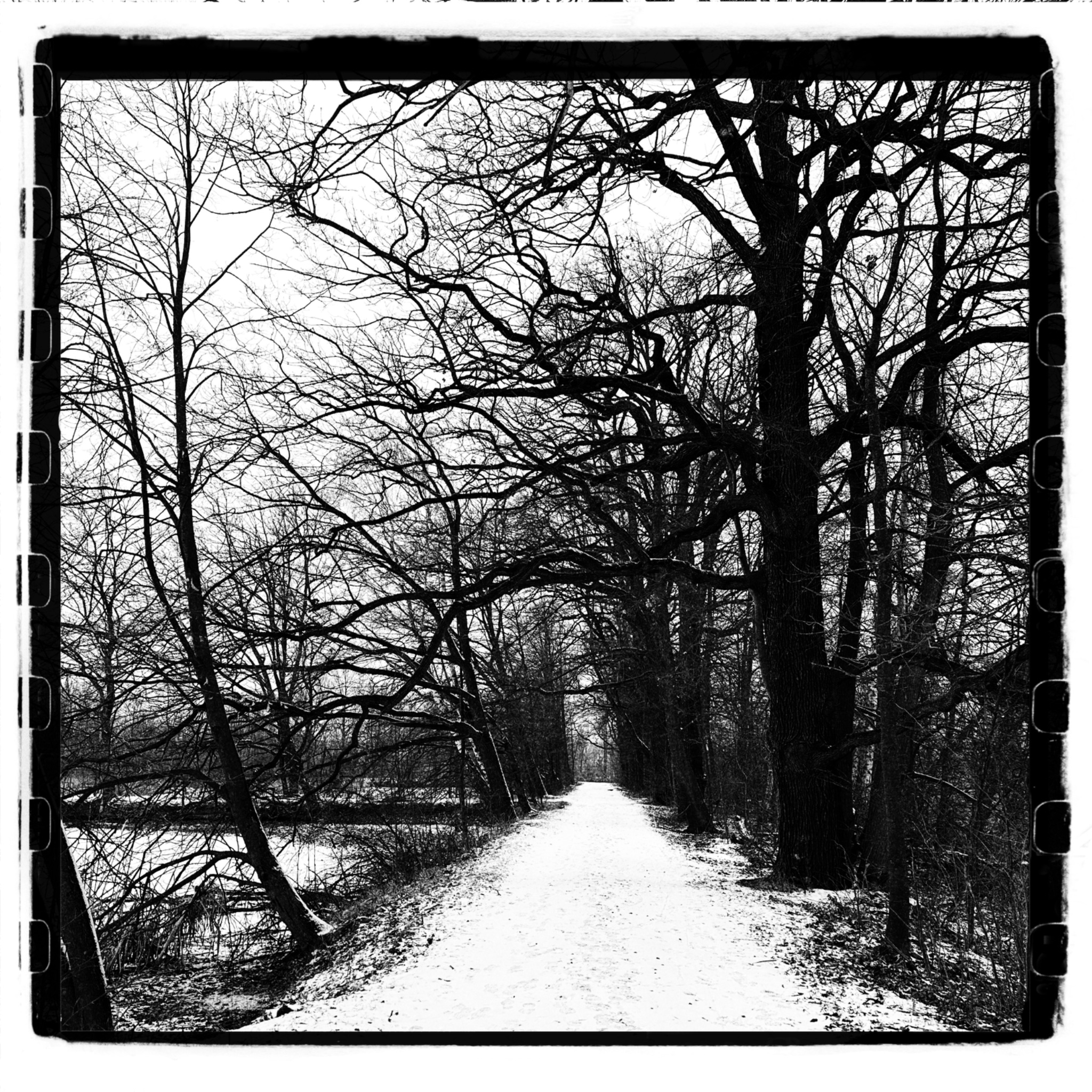 HMOriginal 83C12429 69BF 41D0 89D2 C51B038F27EF