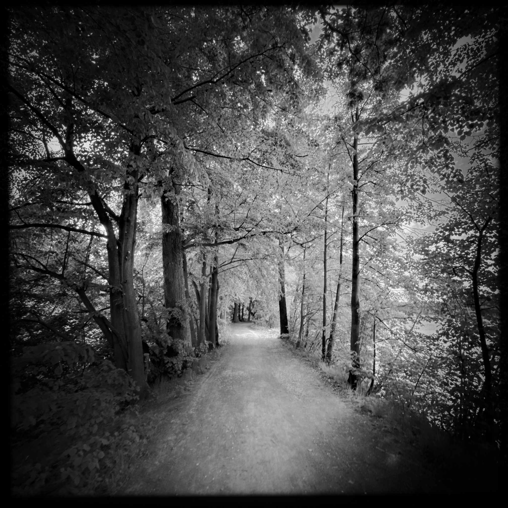 HMOriginal 85523443 401E 44A1 9923 758FA600A1EB