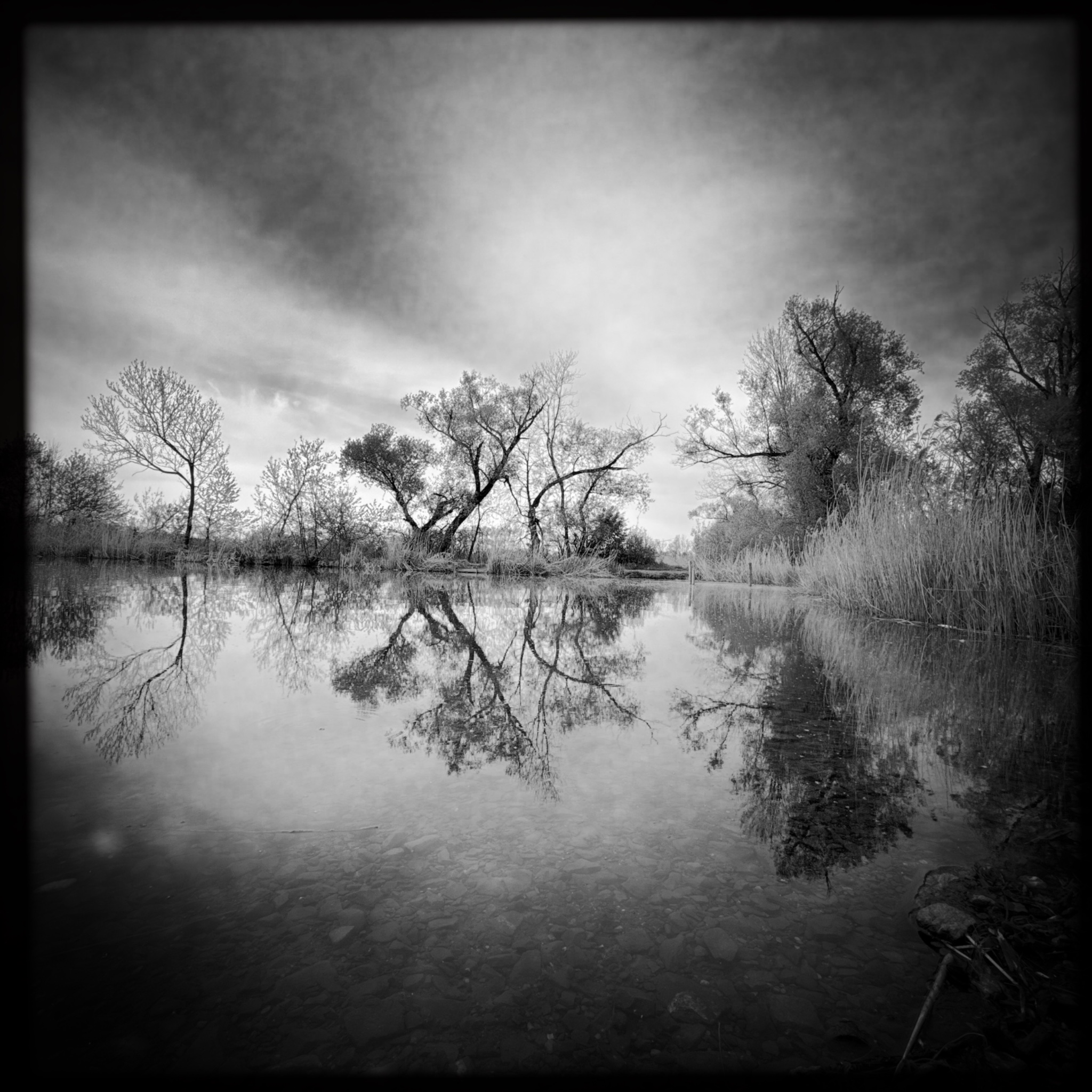 HMOriginal 85E759D2 AFC4 4C56 AC5A E1CBA7BBCF75