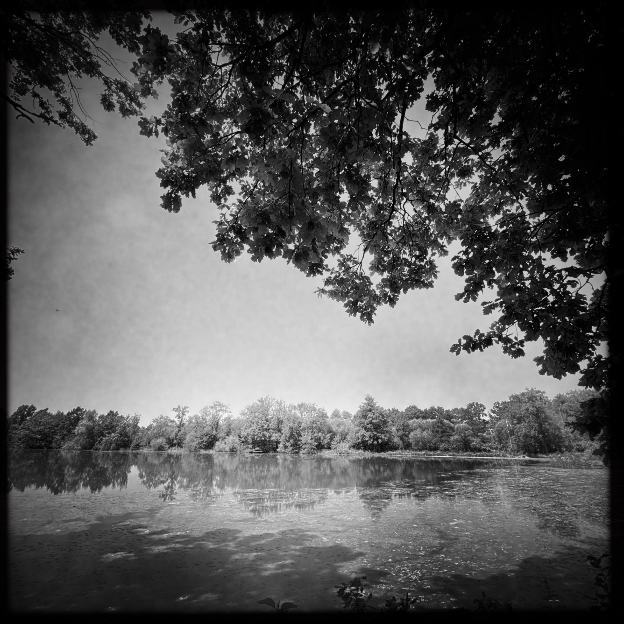 HMOriginal 877F3D87 EF56 4193 9BE9 A6310A4190D1