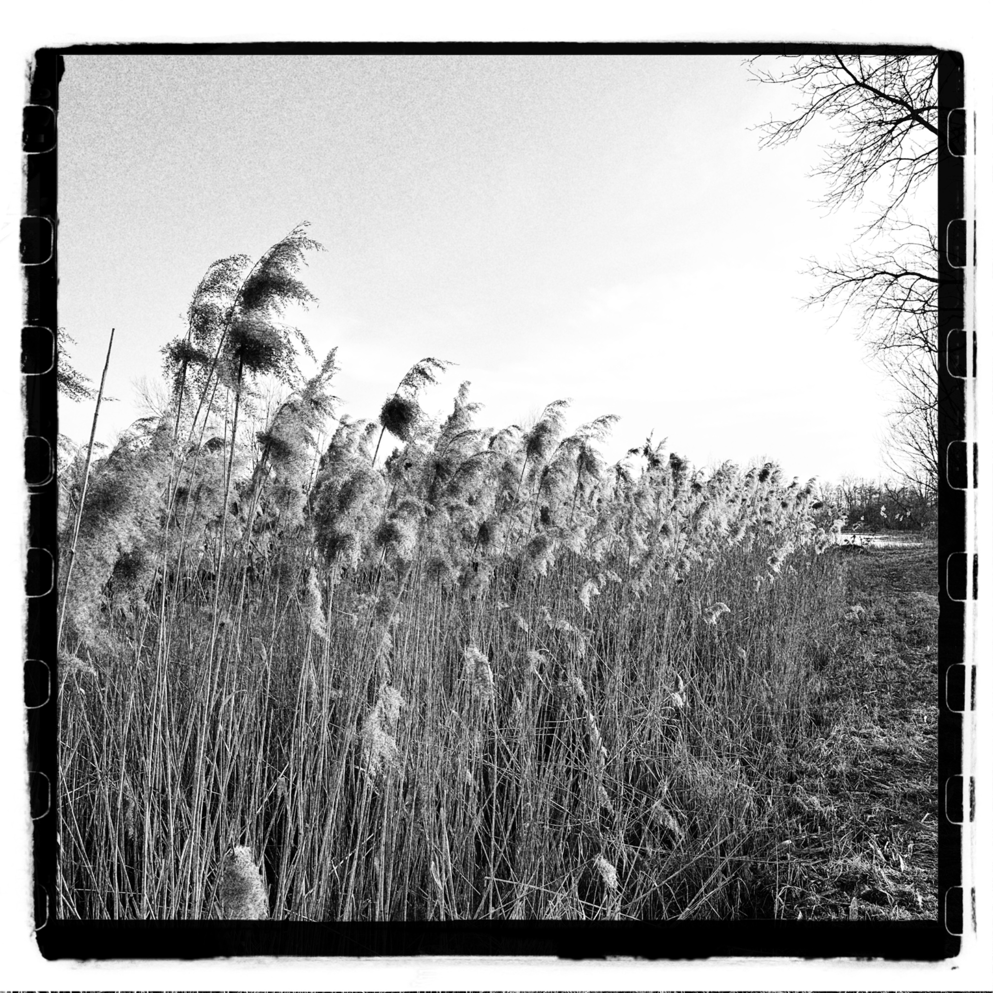 HMOriginal 8836A399 FEF4 49CB A0E9 9606667CCA6E