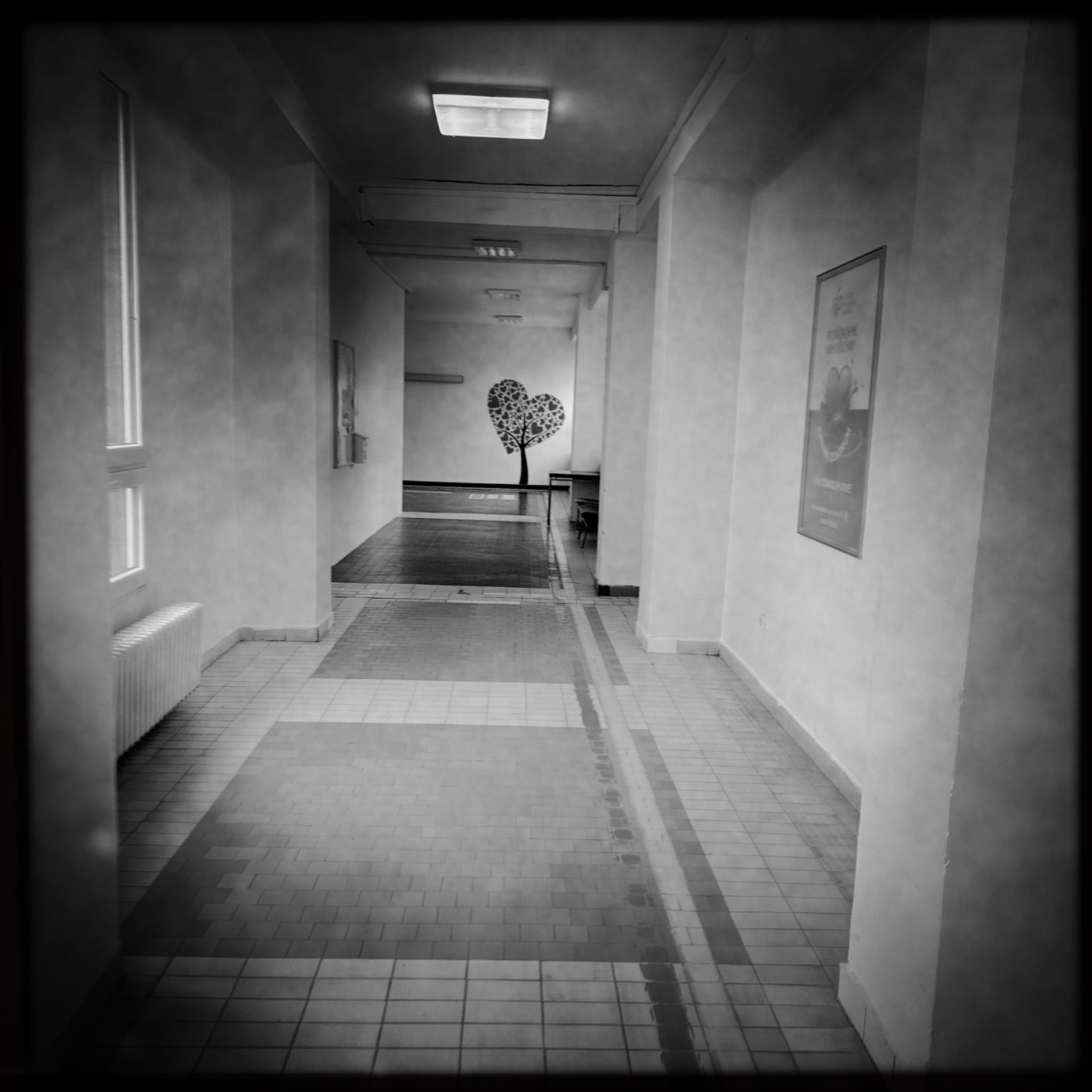 HMOriginal 896FCD8F 503D 47F8 8771 AC2172B1587F