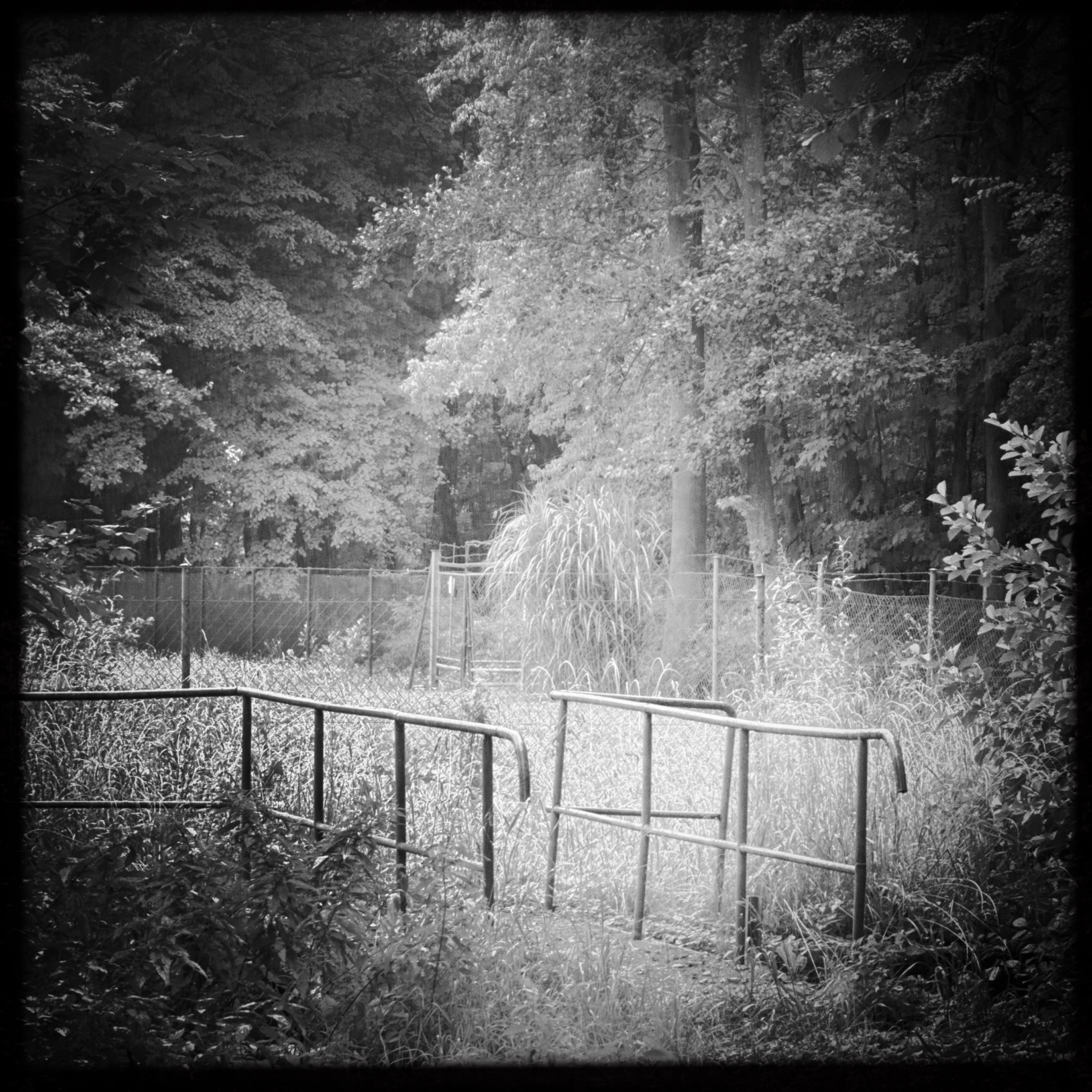 HMOriginal 8AD6E429 97A2 49BD 9546 62F8789C2448