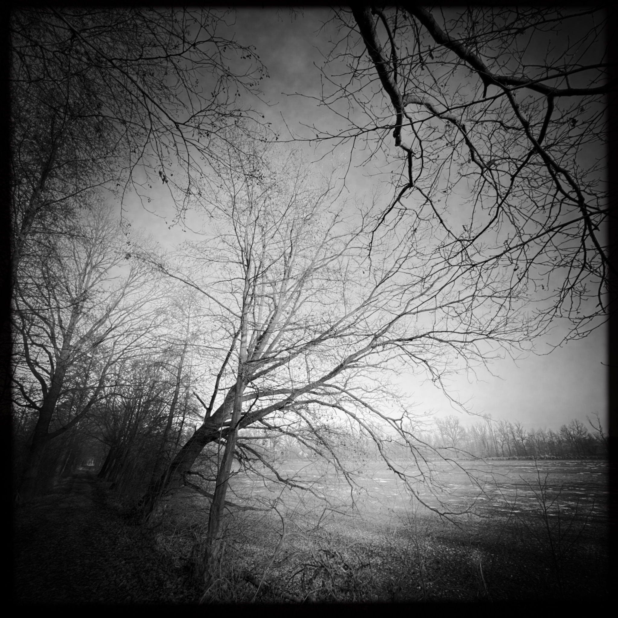 HMOriginal 8BCF22DF A93C 49B3 A4BB EADC73A04FE5