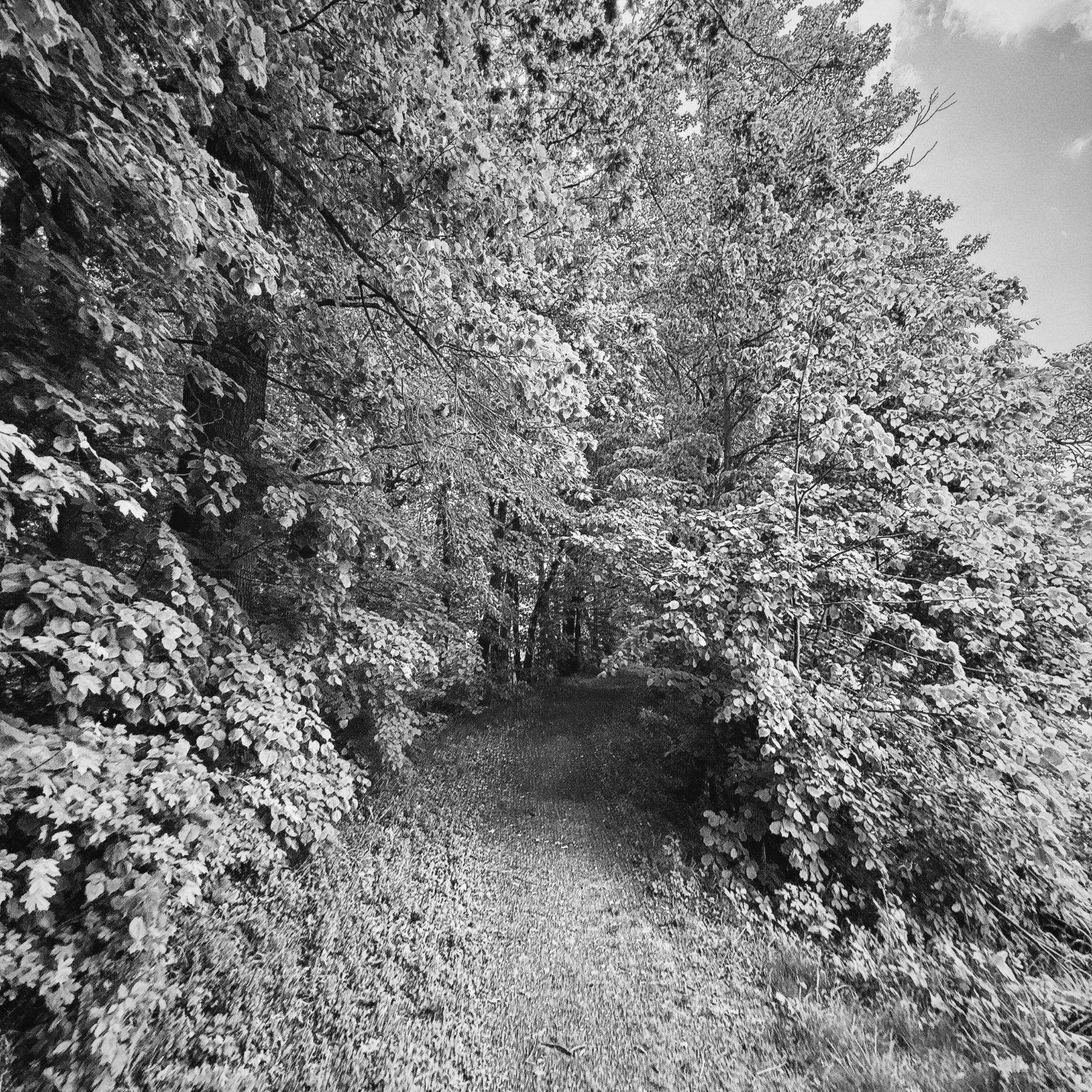 HMOriginal 8E4CC8C5 C76D 4A29 AB3B 05158F59028B