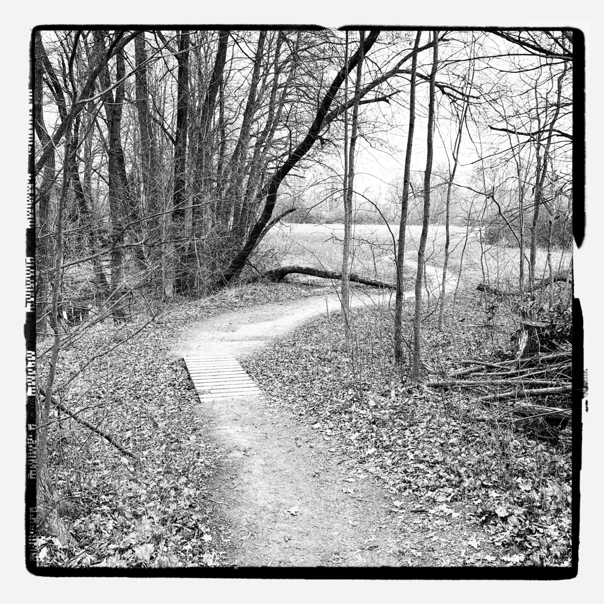 HMOriginal 8FBC789D 6E30 4281 8D14 D9A6C86A94EF