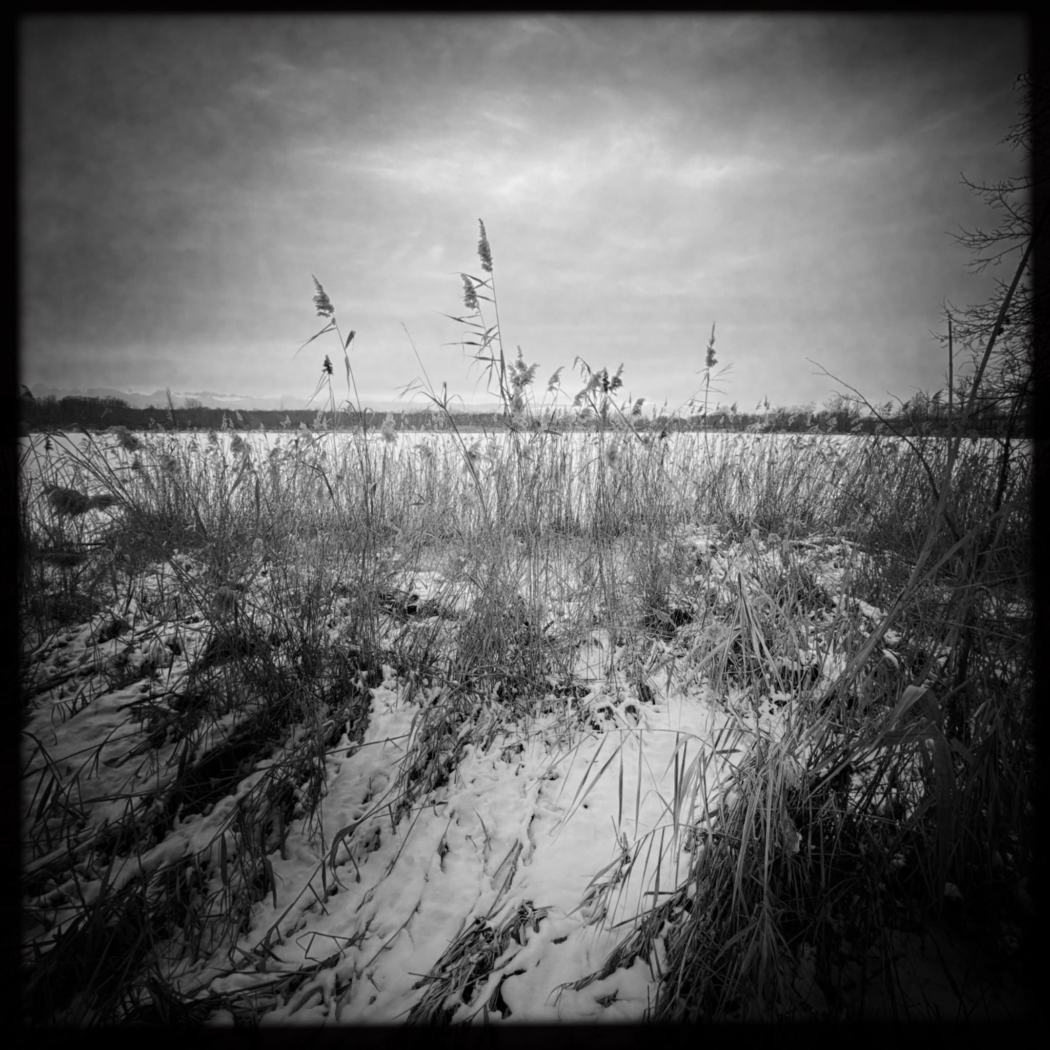 HMOriginal 8FDB08D5 B44A 4499 A0E0 00DAB2FA052A