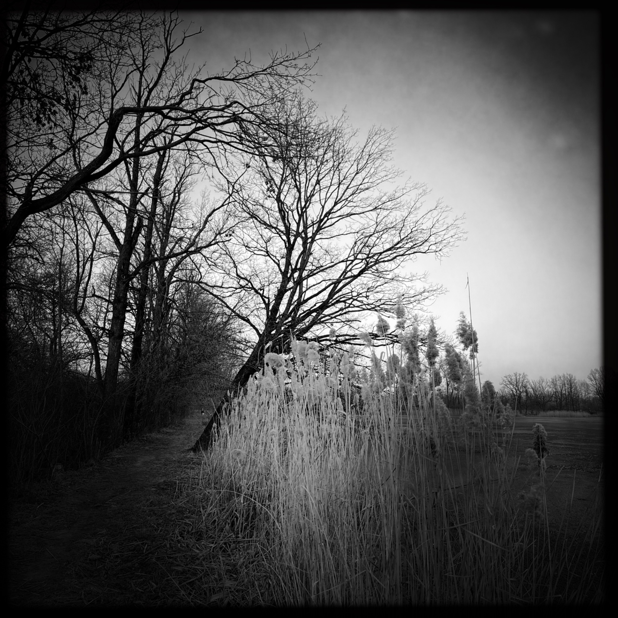 HMOriginal 903B182D 67AF 4045 9FC2 AA39DAD95794