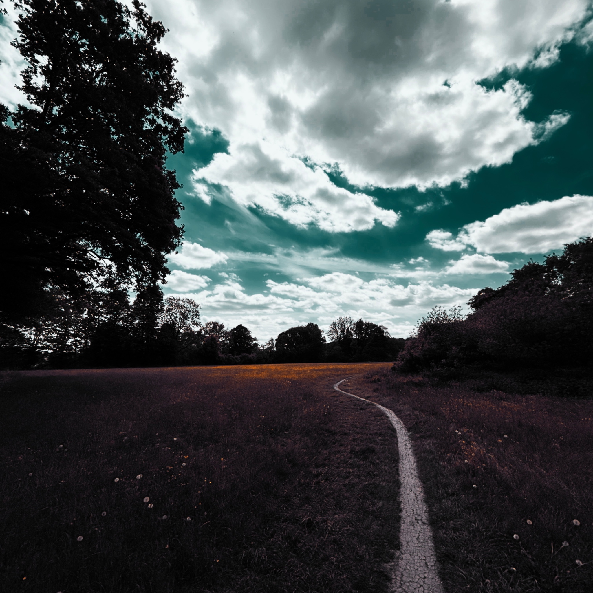 HMOriginal 9068B1C9 7C8D 4060 80AF 232FA8E79482