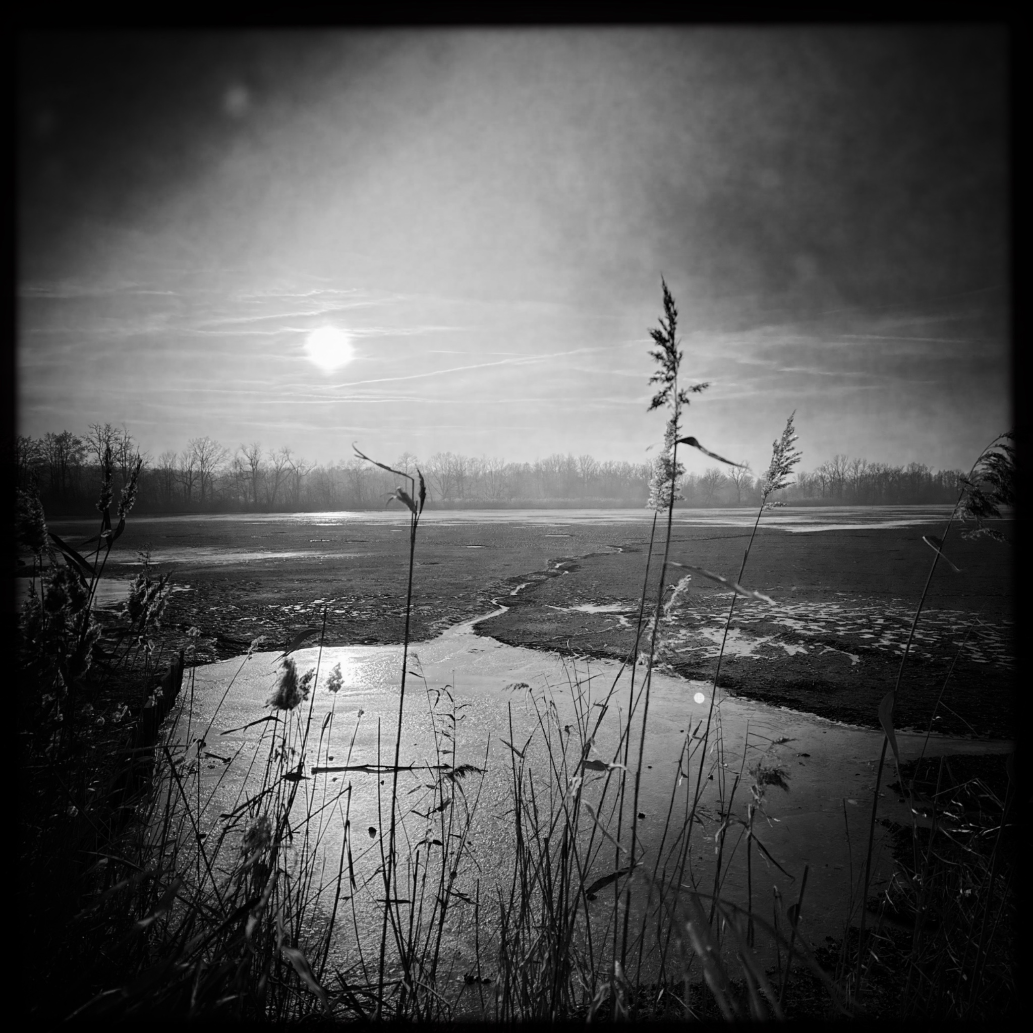 HMOriginal 910C4B5F 2440 44B1 BF03 EBB040FC446A