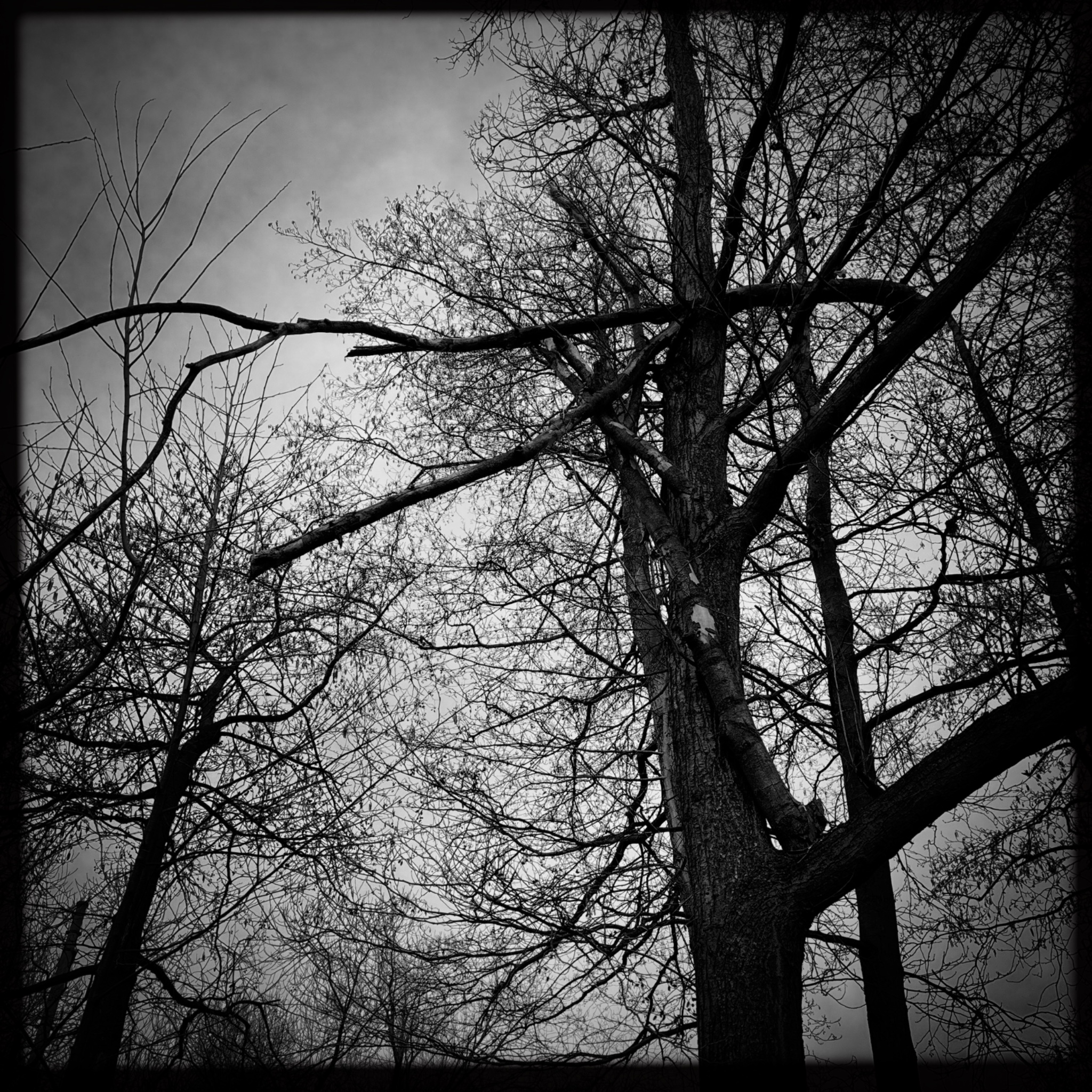 HMOriginal 9316596E EB78 4680 872B D42F6633630D