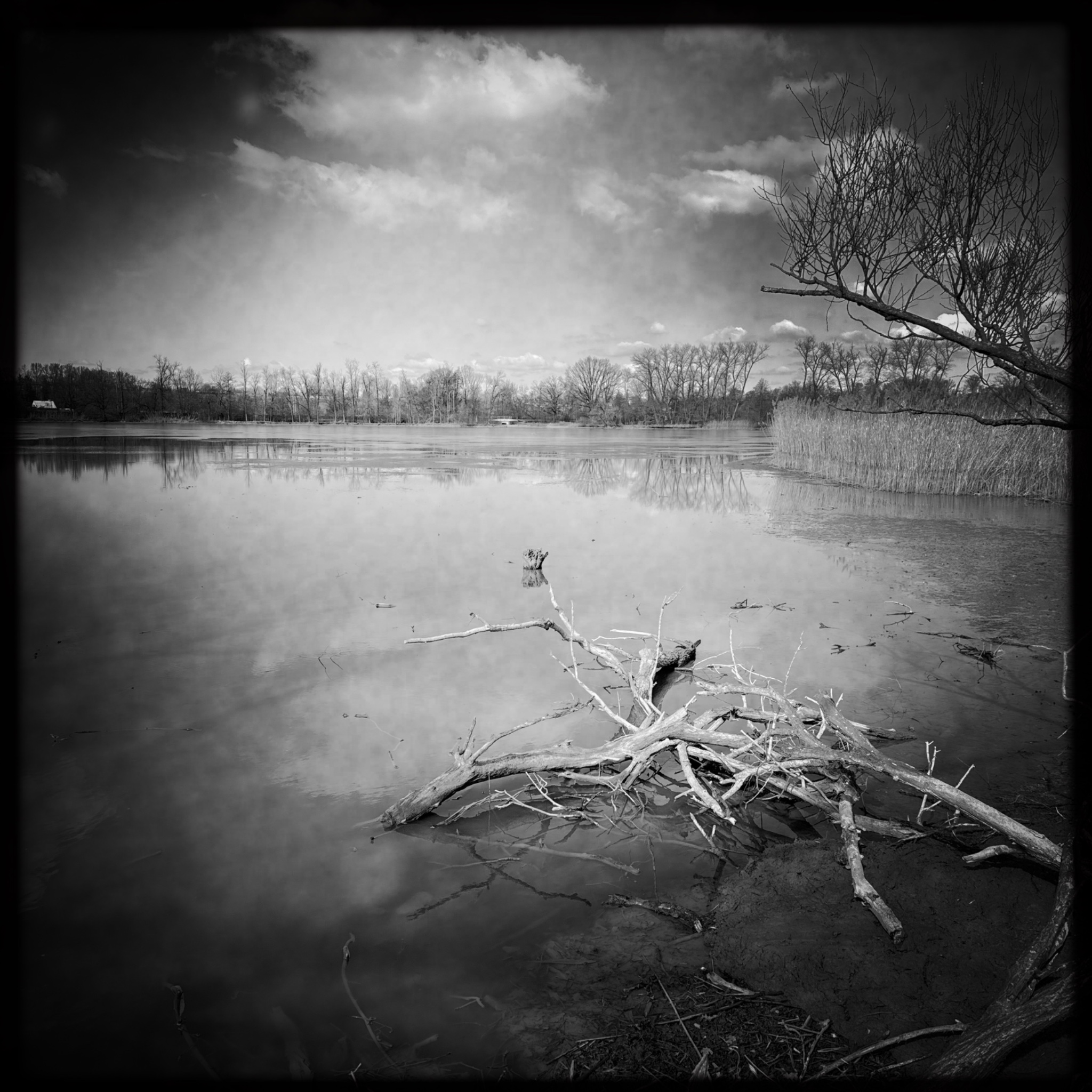 HMOriginal 931B7C64 FAC0 456B A617 79CA61BC1194