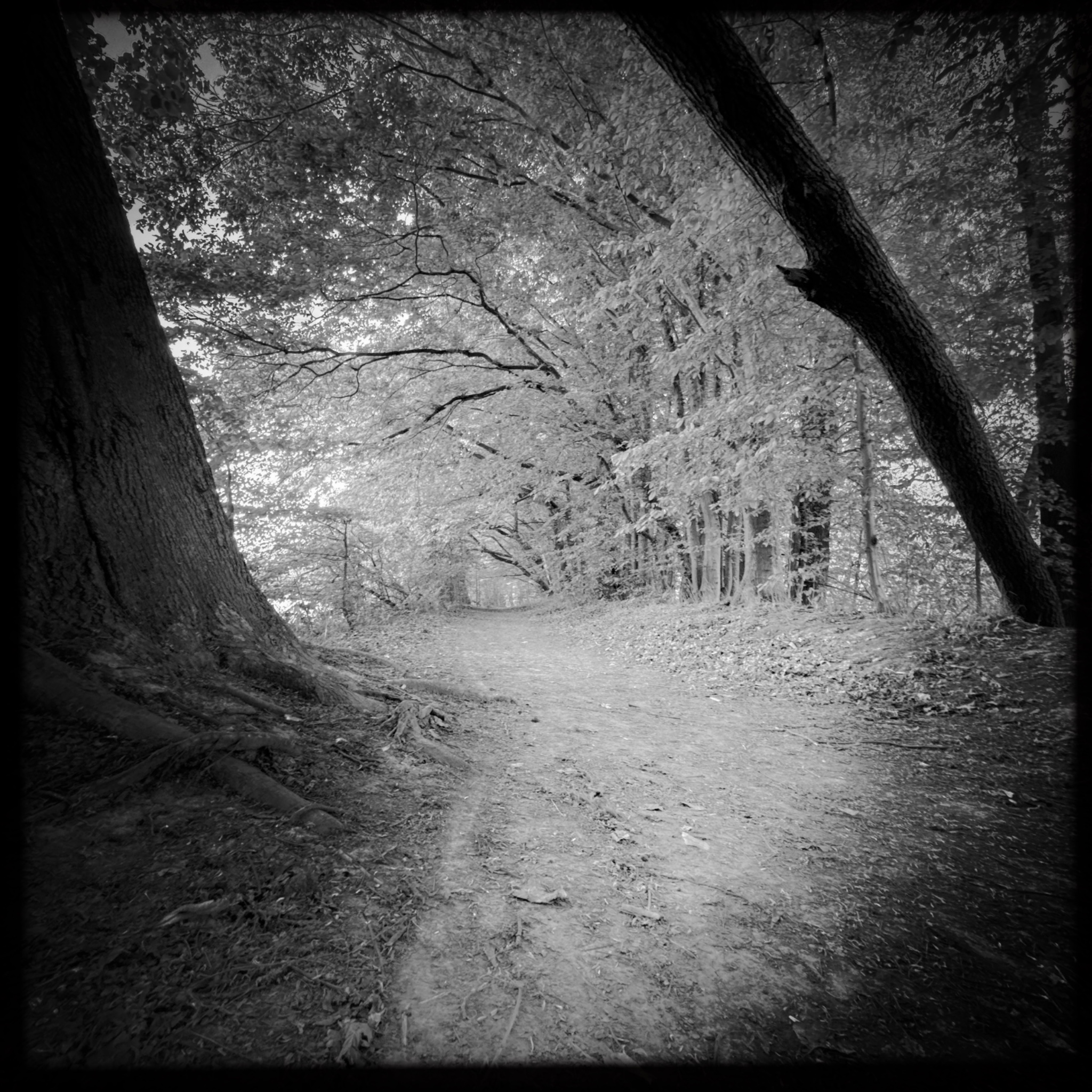 HMOriginal 9455FC1B 211B 4A74 BC8D 10077AFA9ADE