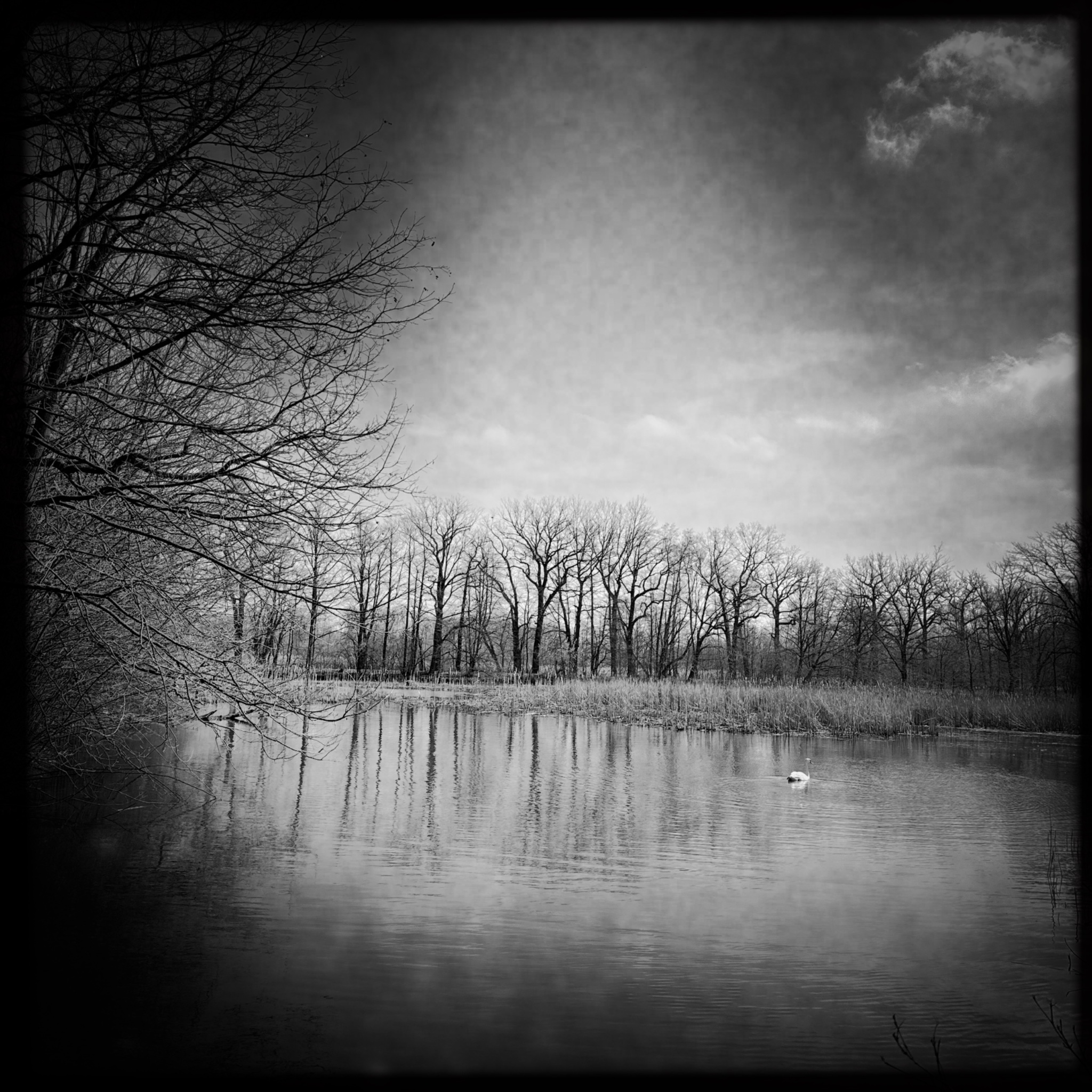 HMOriginal 9793A562 2F61 4A86 99E2 F091BA7722CD