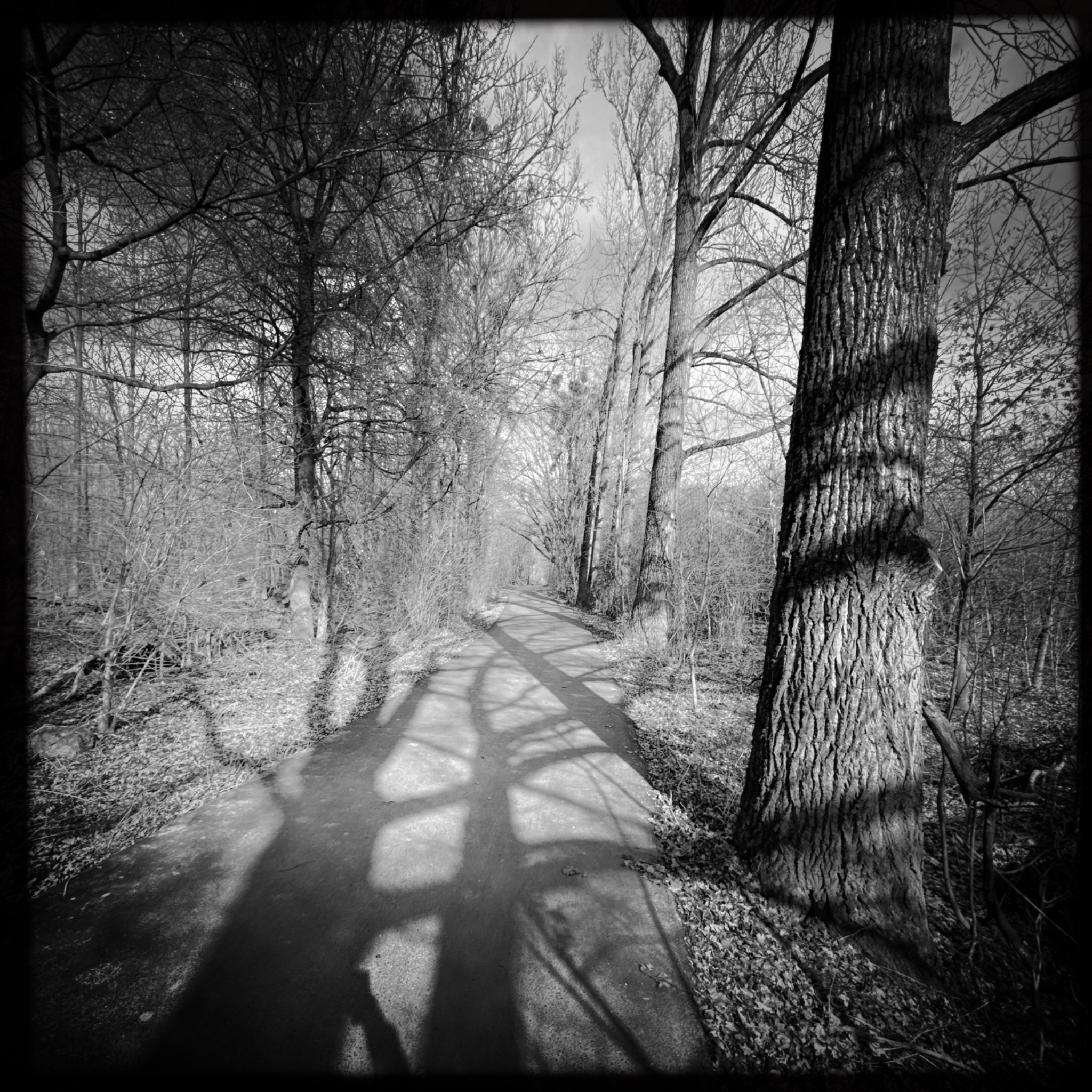 HMOriginal 9EC420AF E2C9 4B4C 9B0D EB5790668978