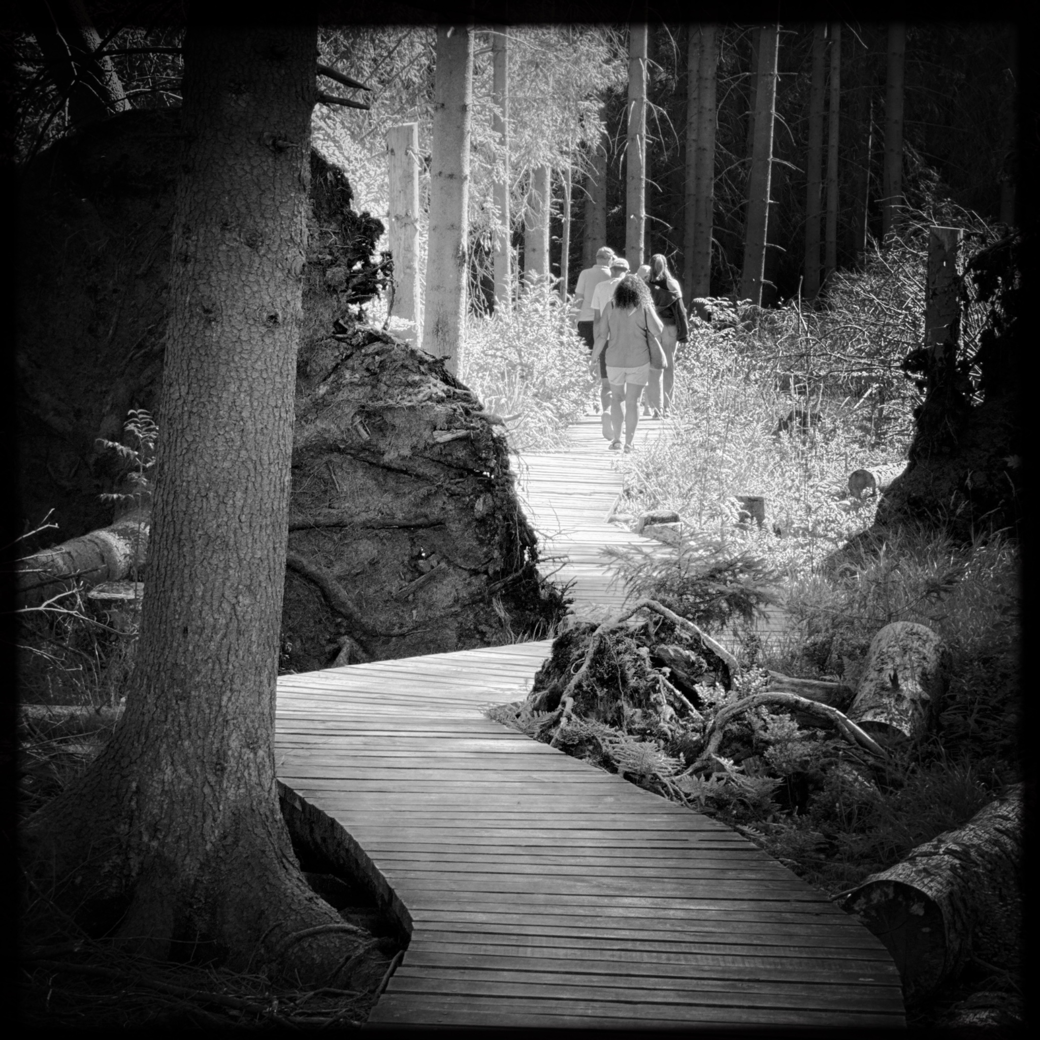 HMOriginal A482C03C 7F55 4805 BB1E B5479B05959F