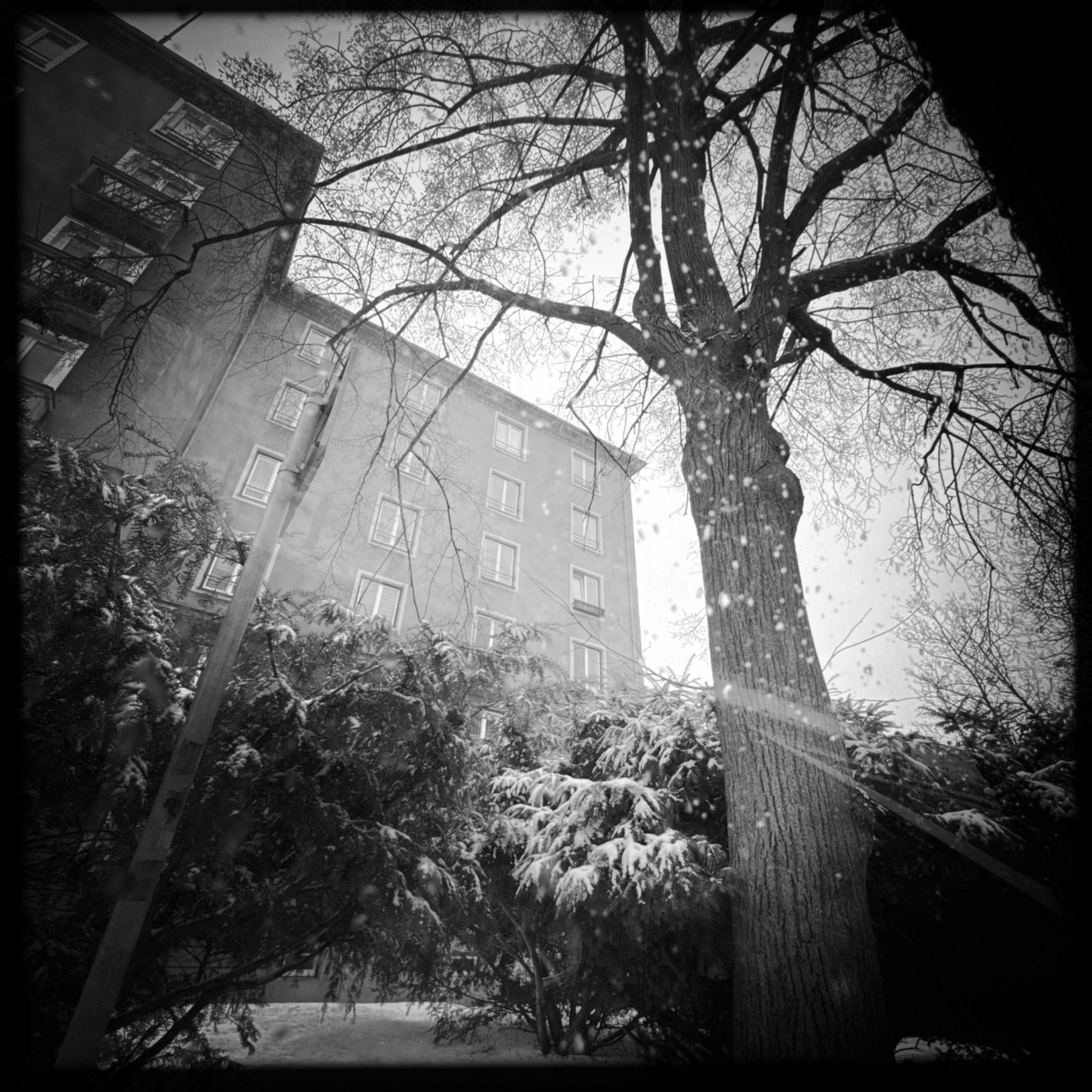 HMOriginal A4BA60CD 9406 4418 89D9 EBCE2032F963