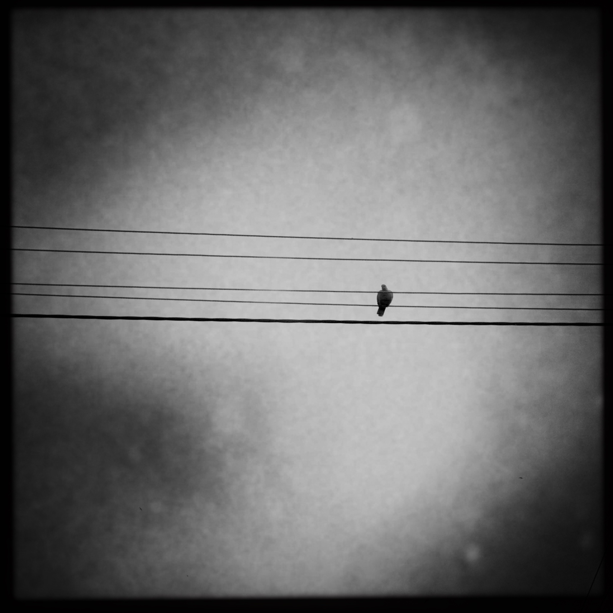 HMOriginal A5FECF41 9531 4C05 88A5 54EADA3FD9F8