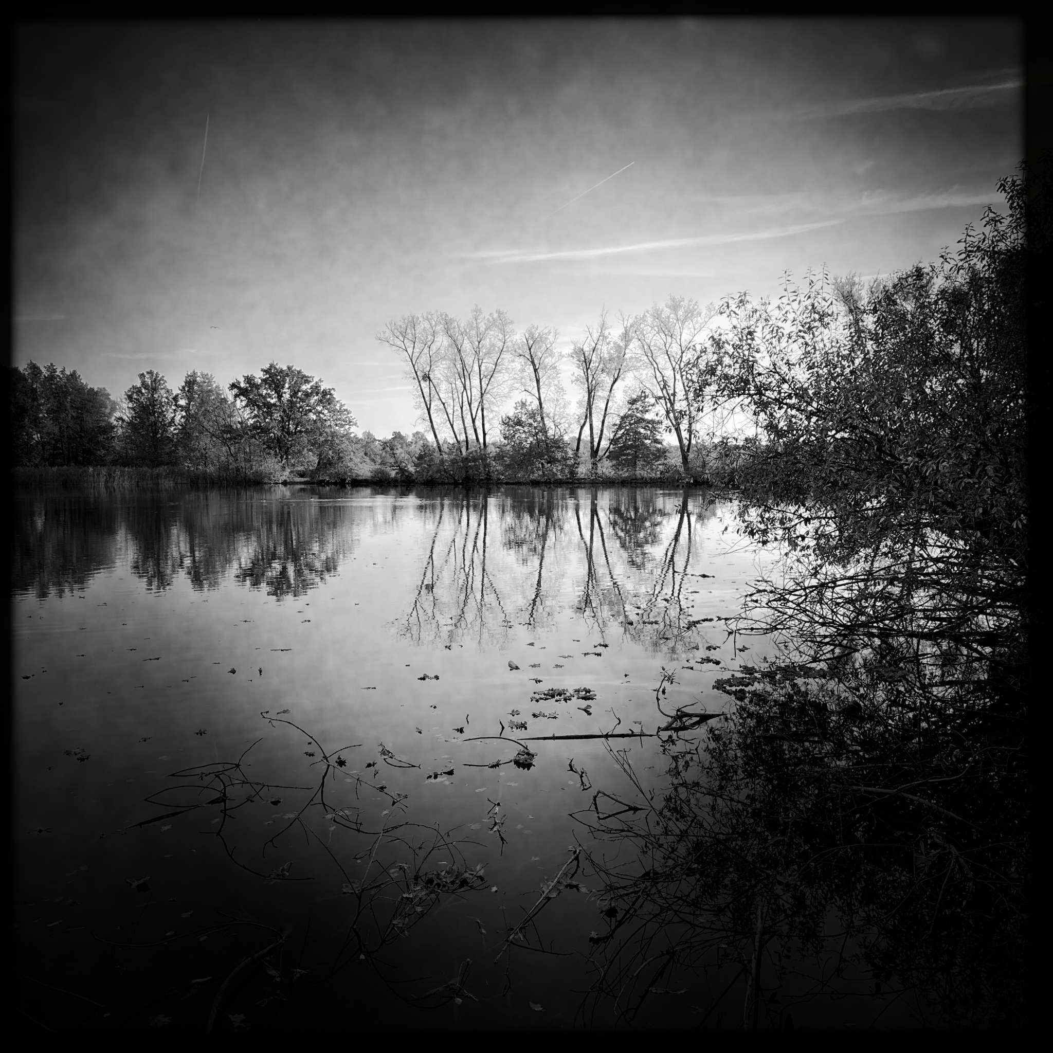 HMOriginal A6B80A23 2D02 44A2 B515 D3AF590FD790