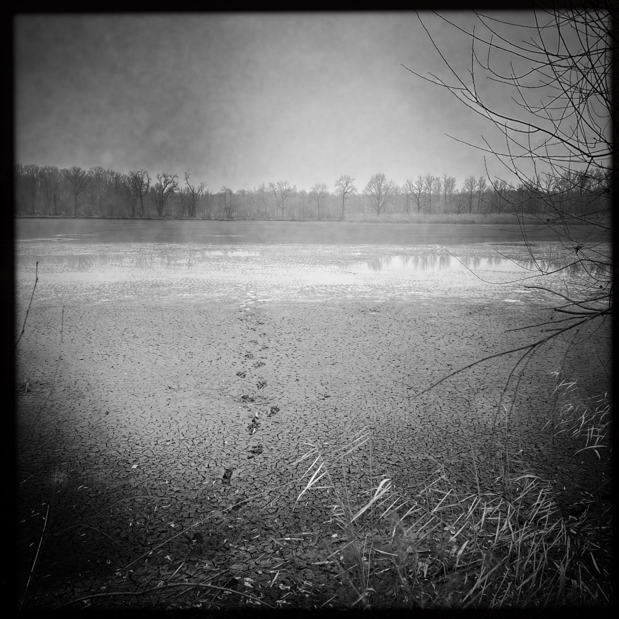 HMOriginal A6BE267F 3CB9 46C1 8E07 06AADF457917