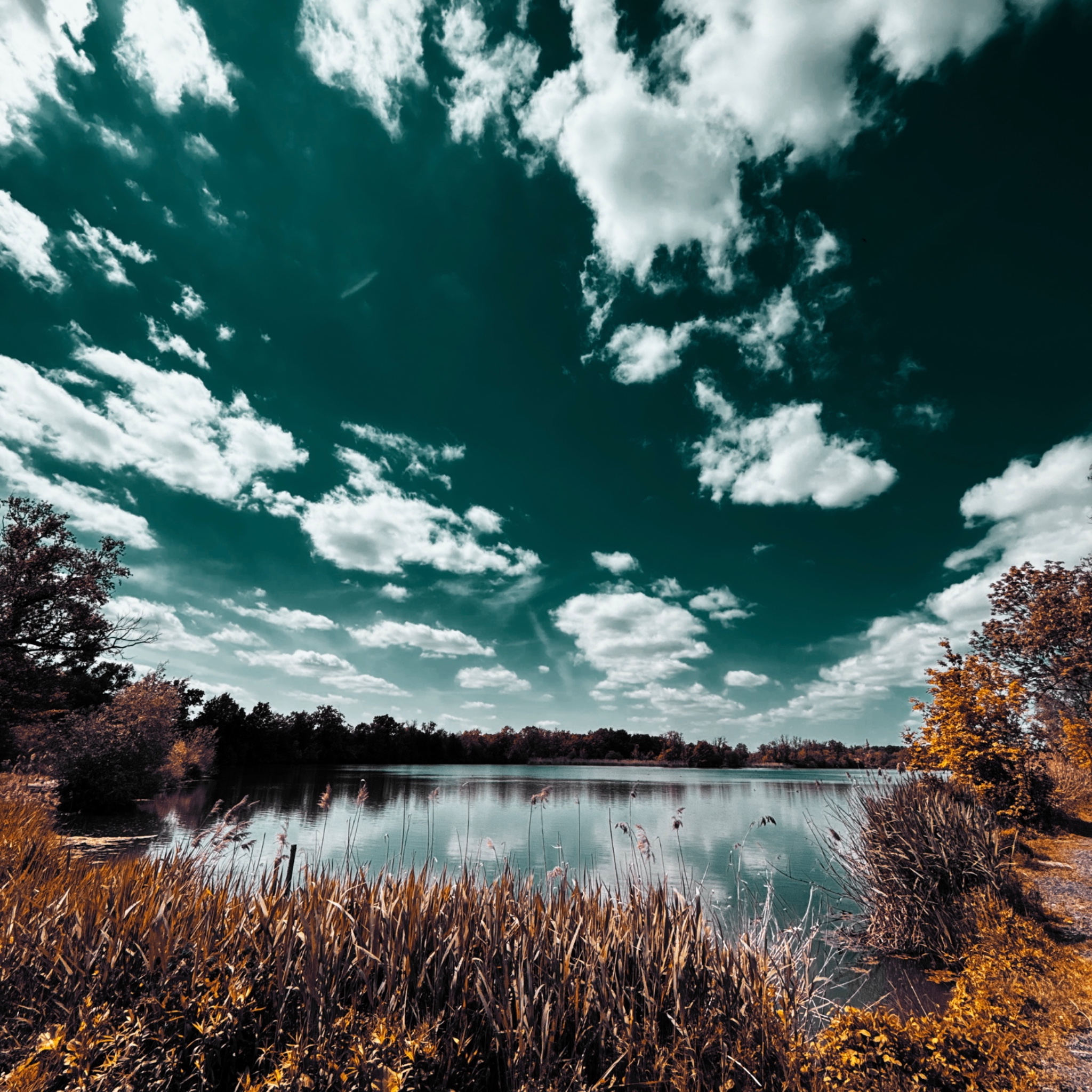 HMOriginal AD8E8666 DACA 481E AC55 F78B199043FF