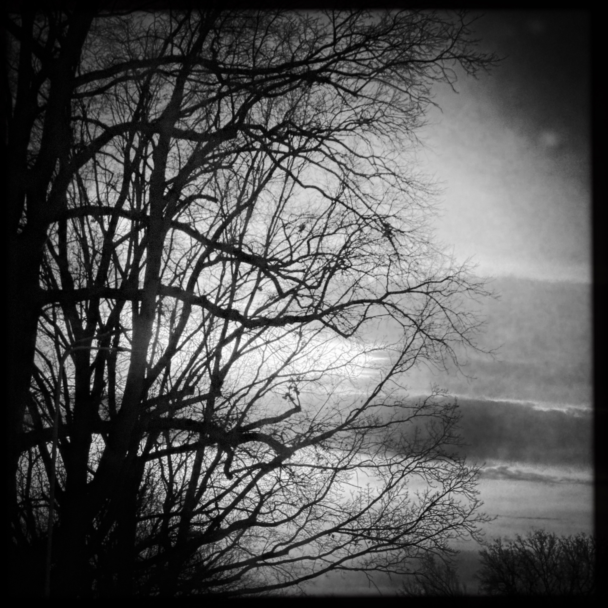 HMOriginal AE33EA87 7299 46E4 8AD6 FBB047356111