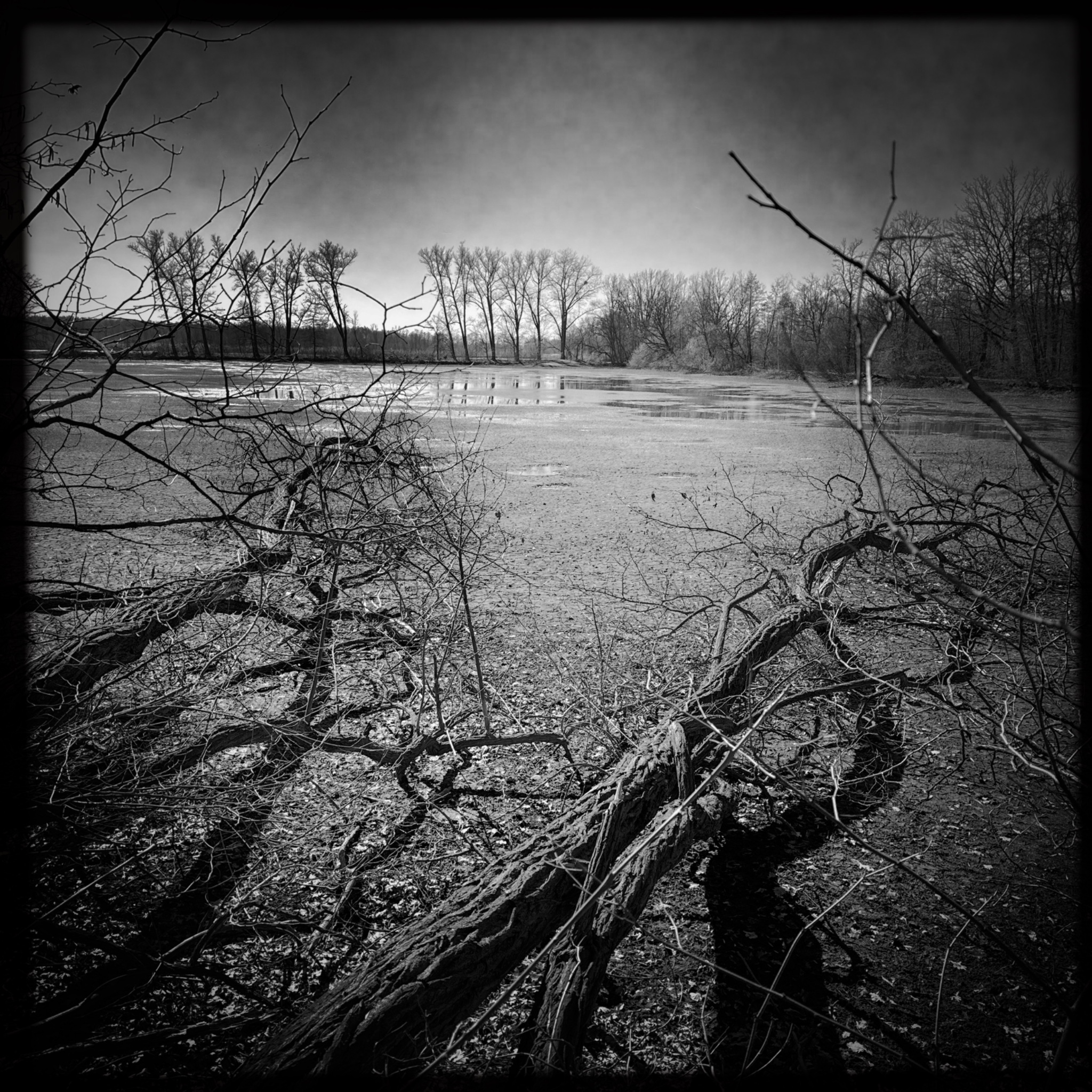 HMOriginal AF0B92F5 CEFF 412D AAF0 0602F3322D6F