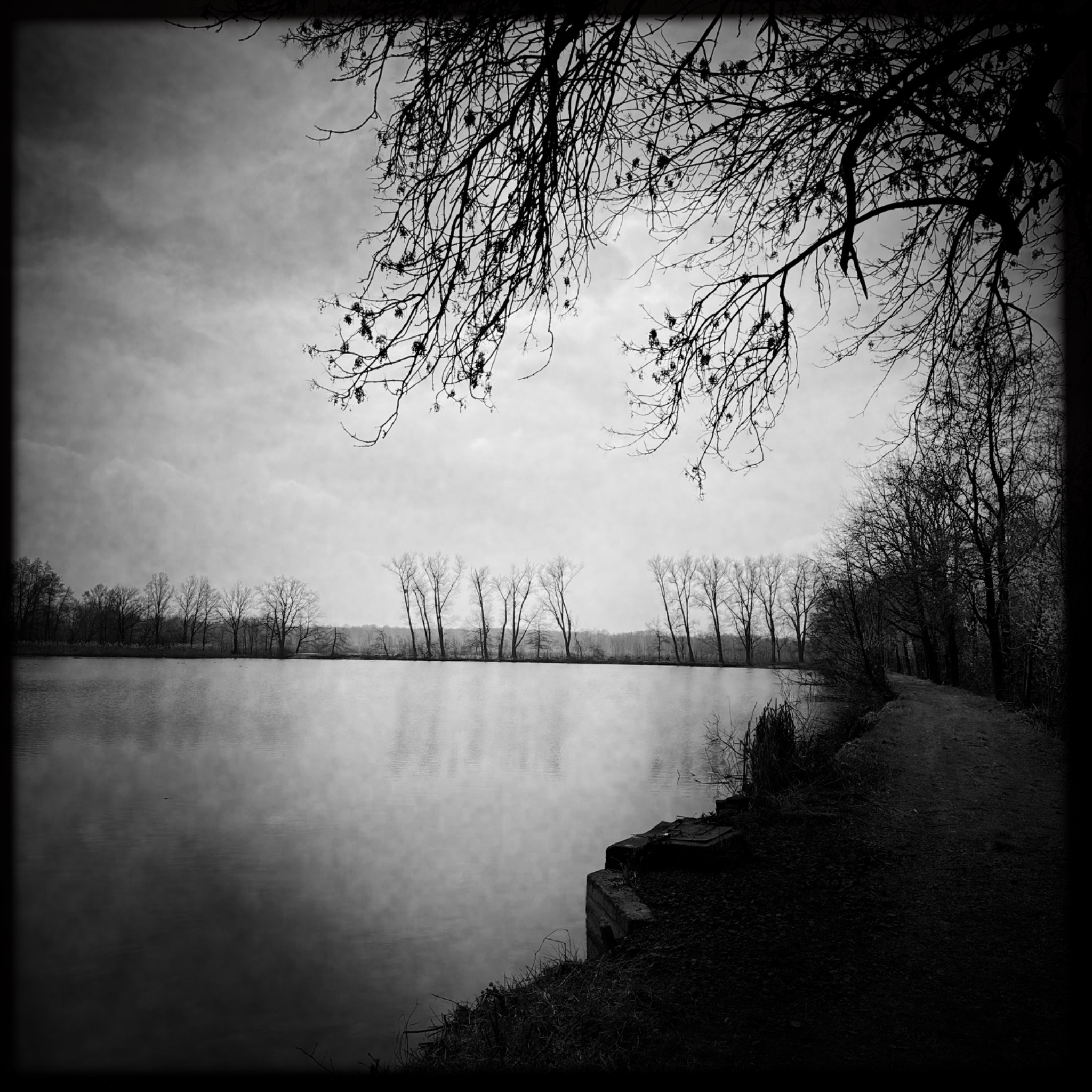 HMOriginal AF71C293 533C 4F47 B96D 1C51740F8742