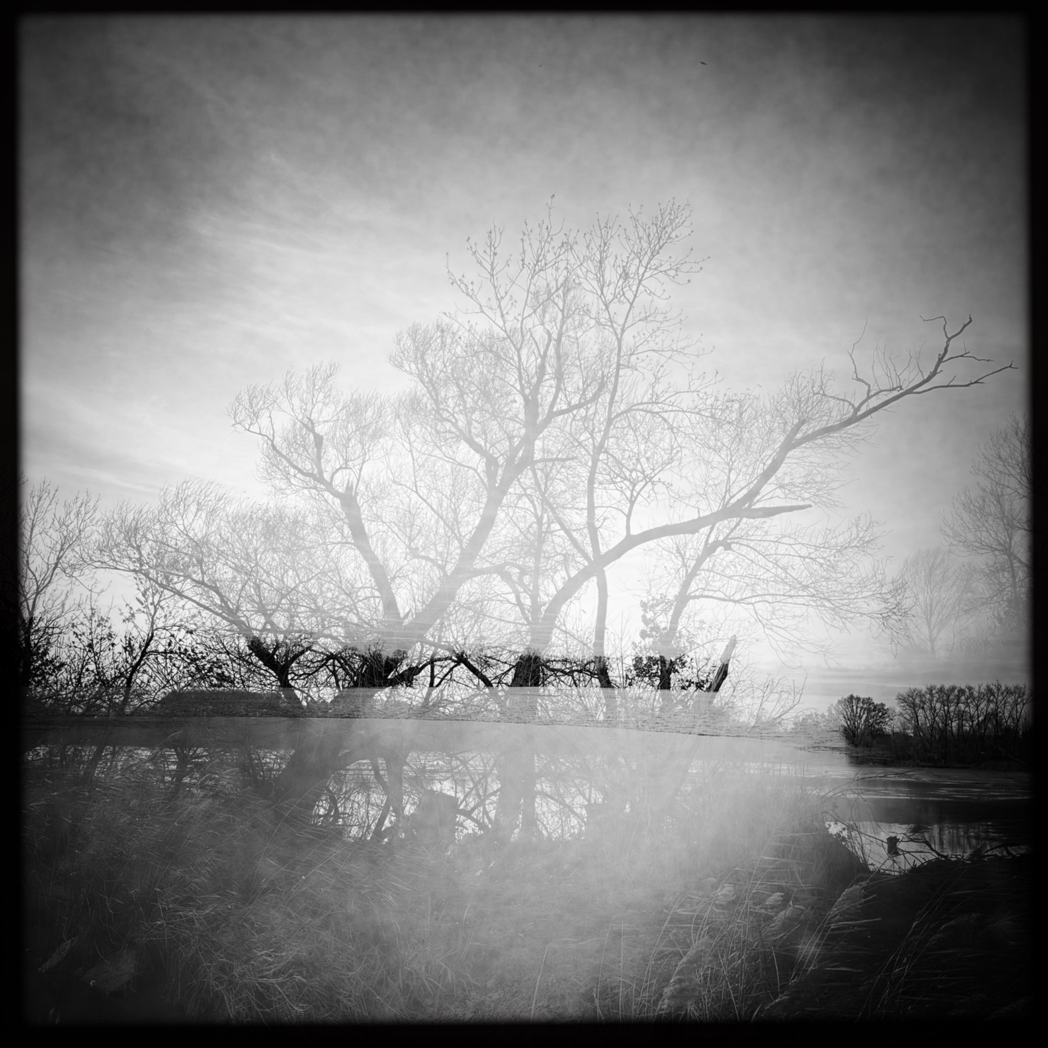 HMOriginal AFCCB9BF EF7D 4763 BF69 059CF584F64C