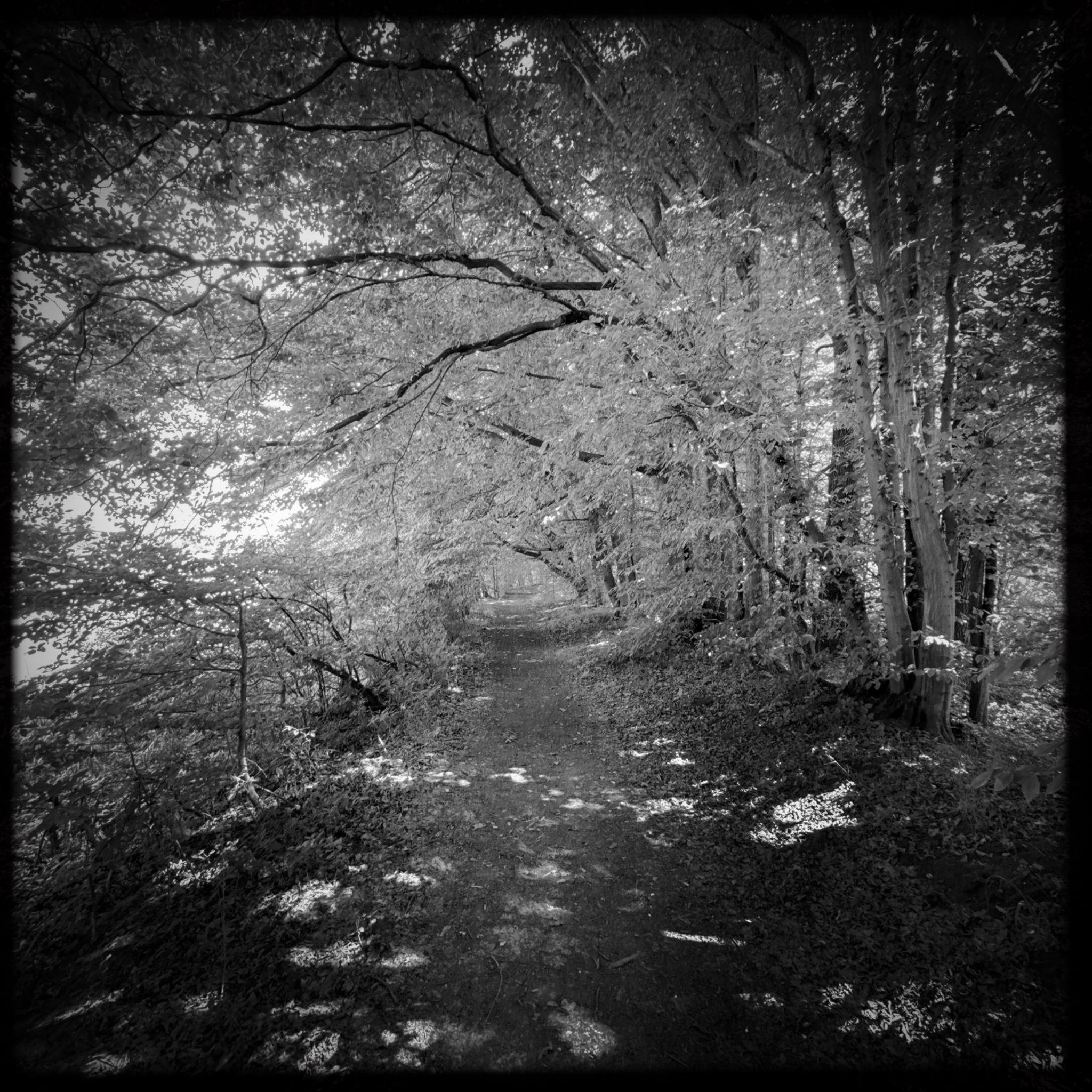 HMOriginal B0146BA4 ACC5 45C0 A2C6 C0CCA00B49F8