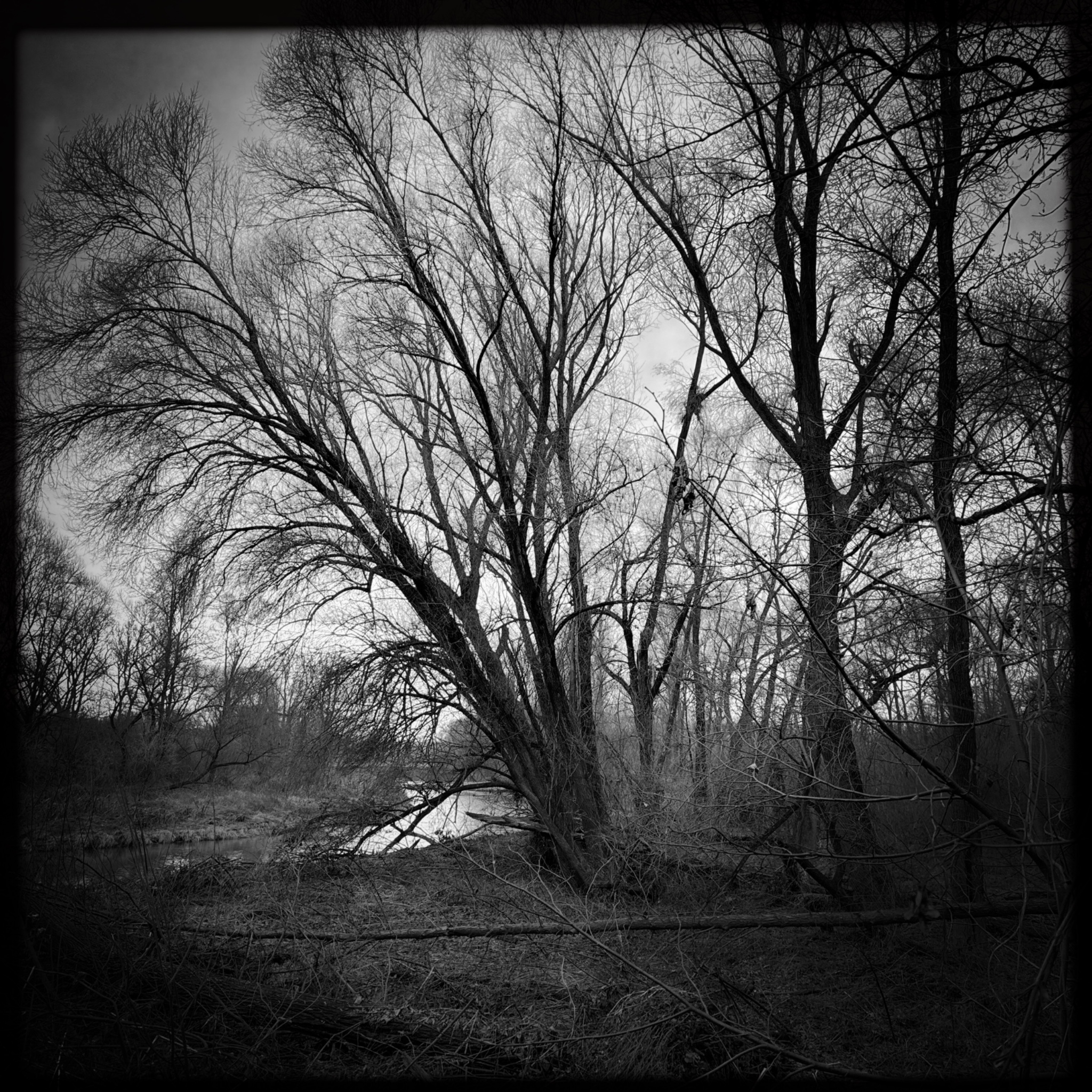 HMOriginal B05F8B3A F684 4051 A3D9 12065D5F9B0F