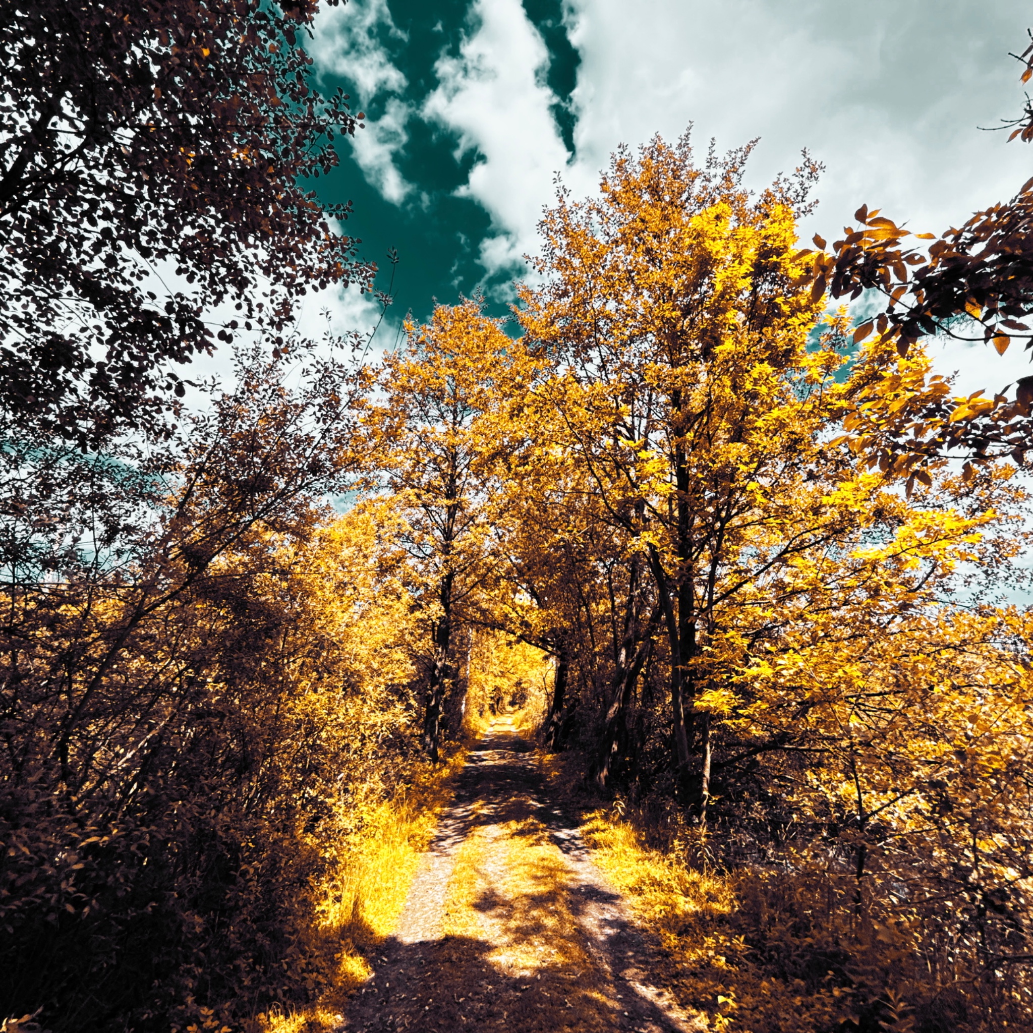 HMOriginal B18755F4 15A3 4496 B811 9F474BAF9939