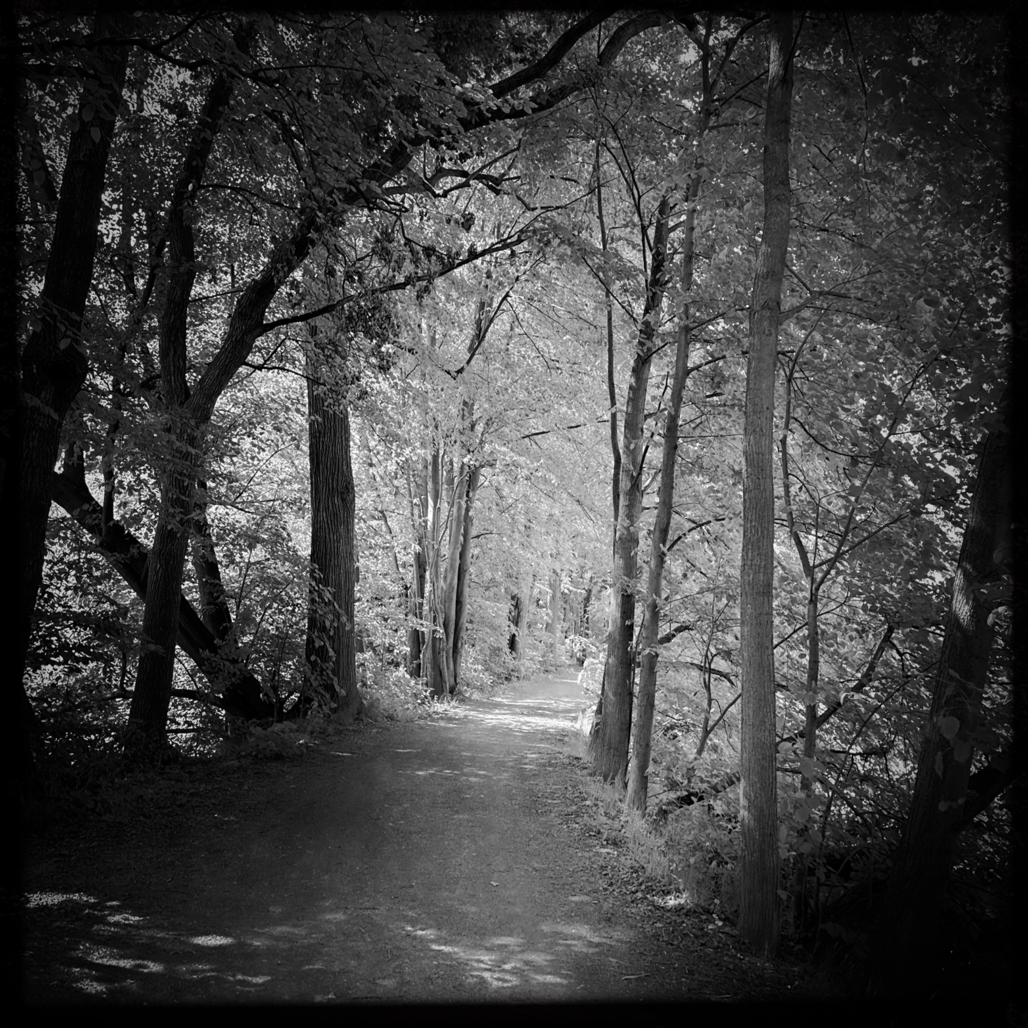 HMOriginal B4EFCC54 C19F 46EB 935F B62C53401C3C